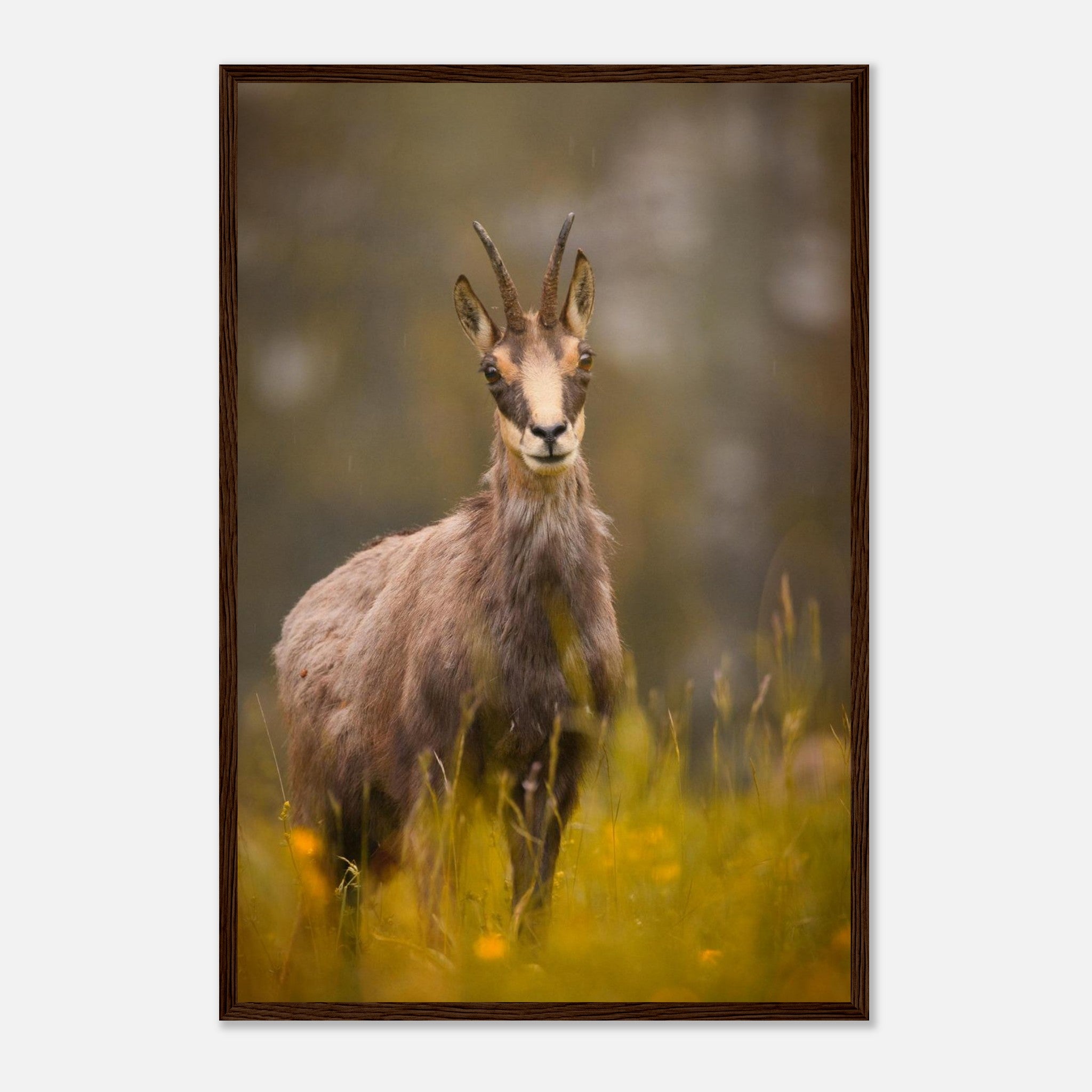 00620a10-7826-45cd-8eca-05f683faf508