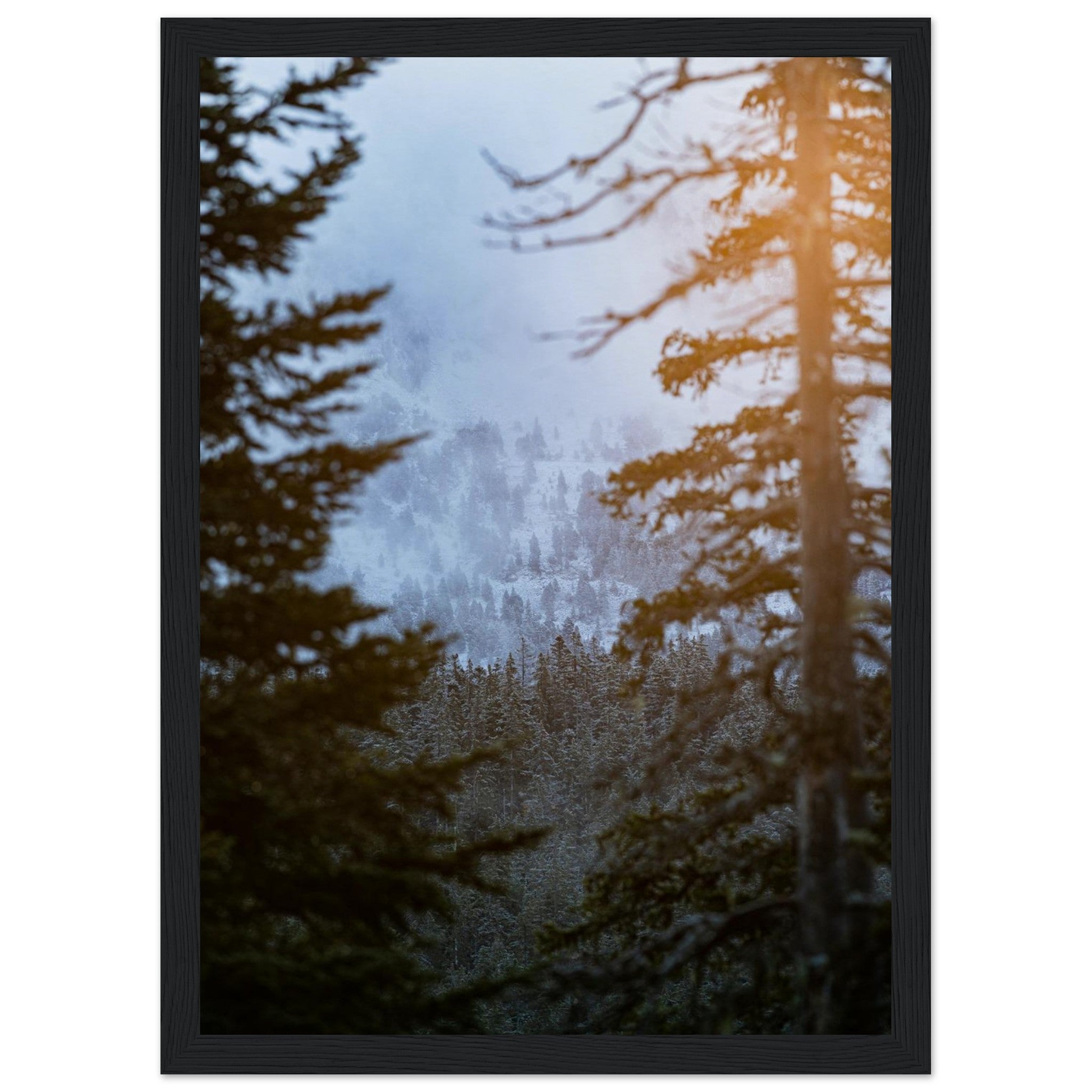 01a8ad13-e834-4e88-9203-5ba02ea0d628