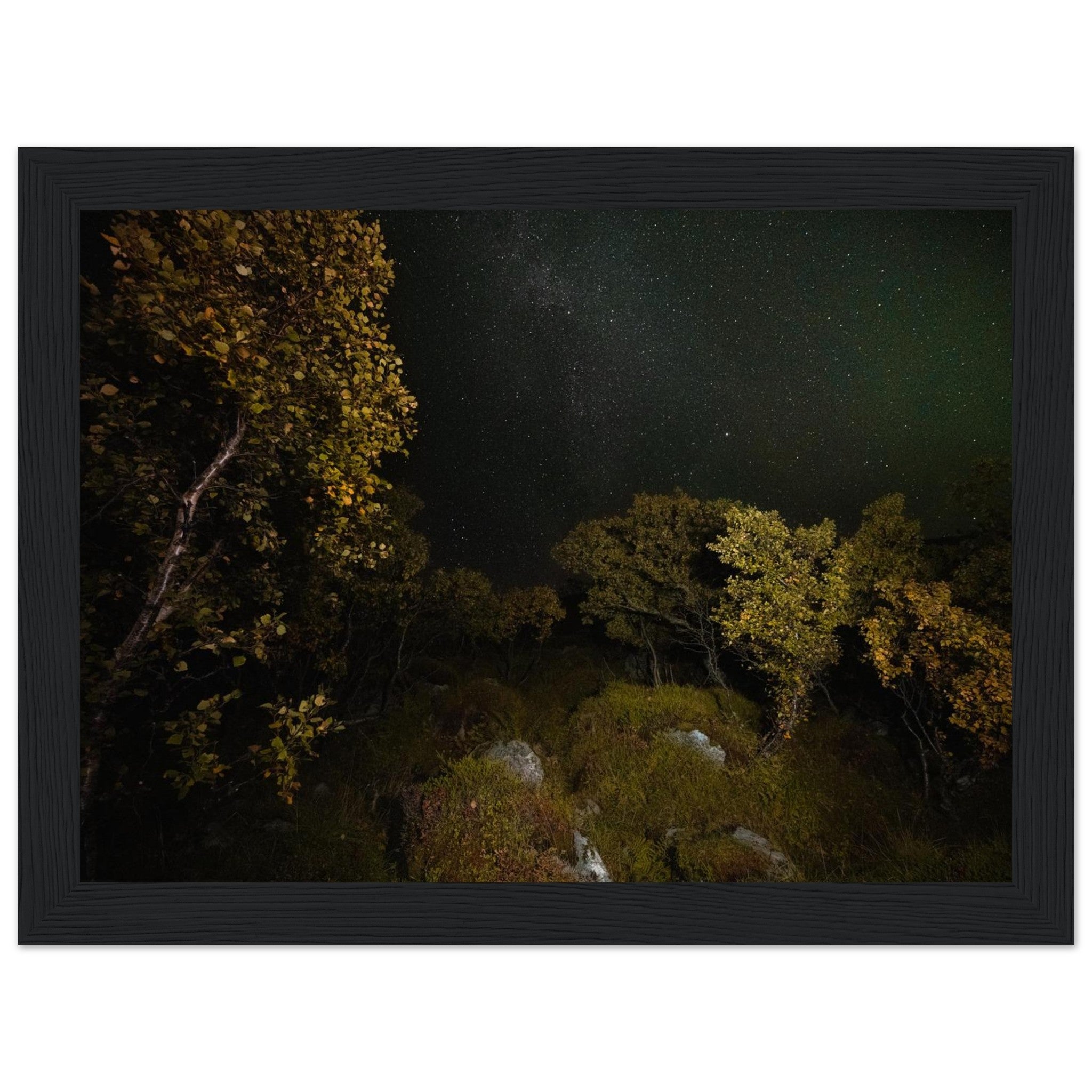 047b6920-c1f4-4be8-8e76-3278417dcea0