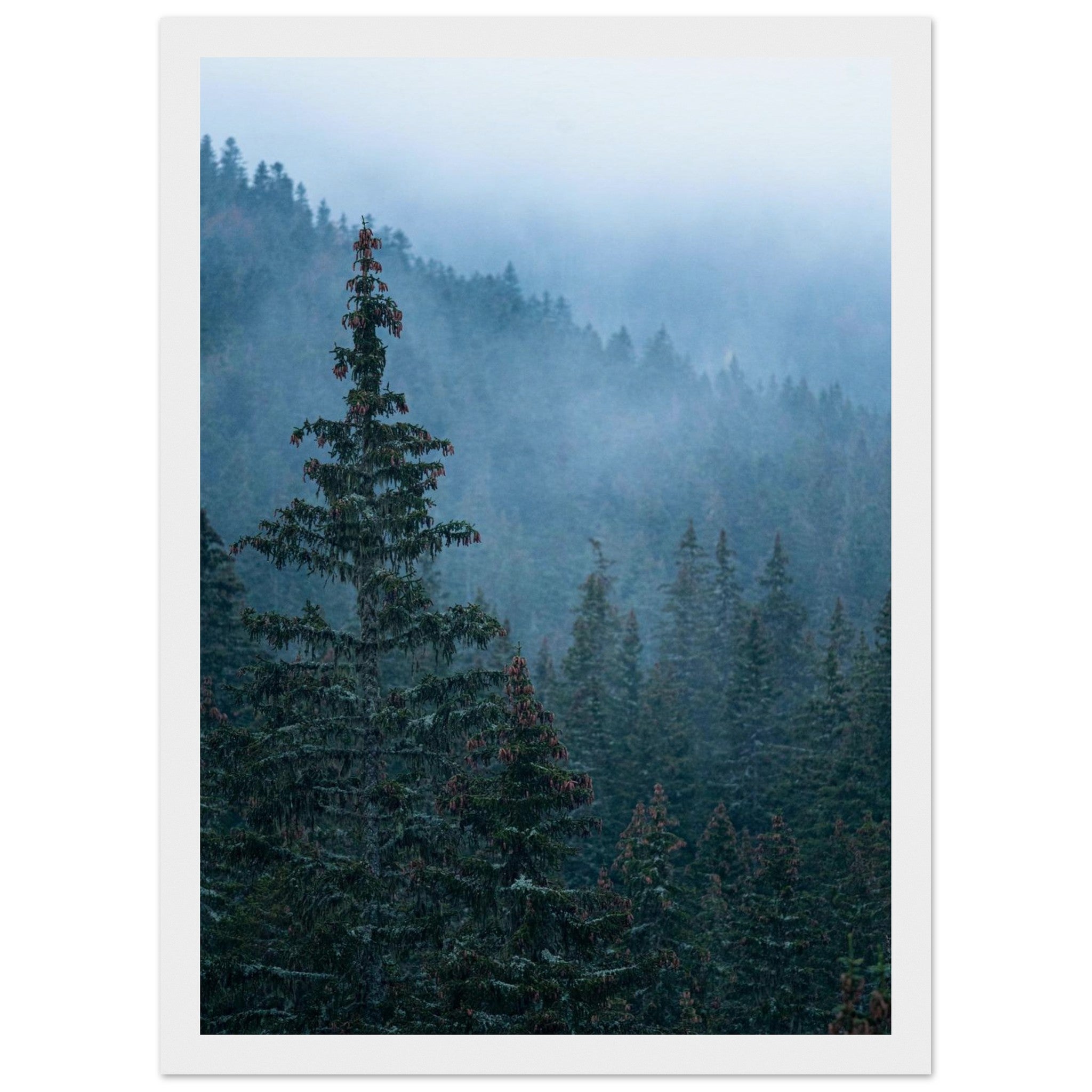 048a7e08-8359-440b-9741-2aaec1340fa8