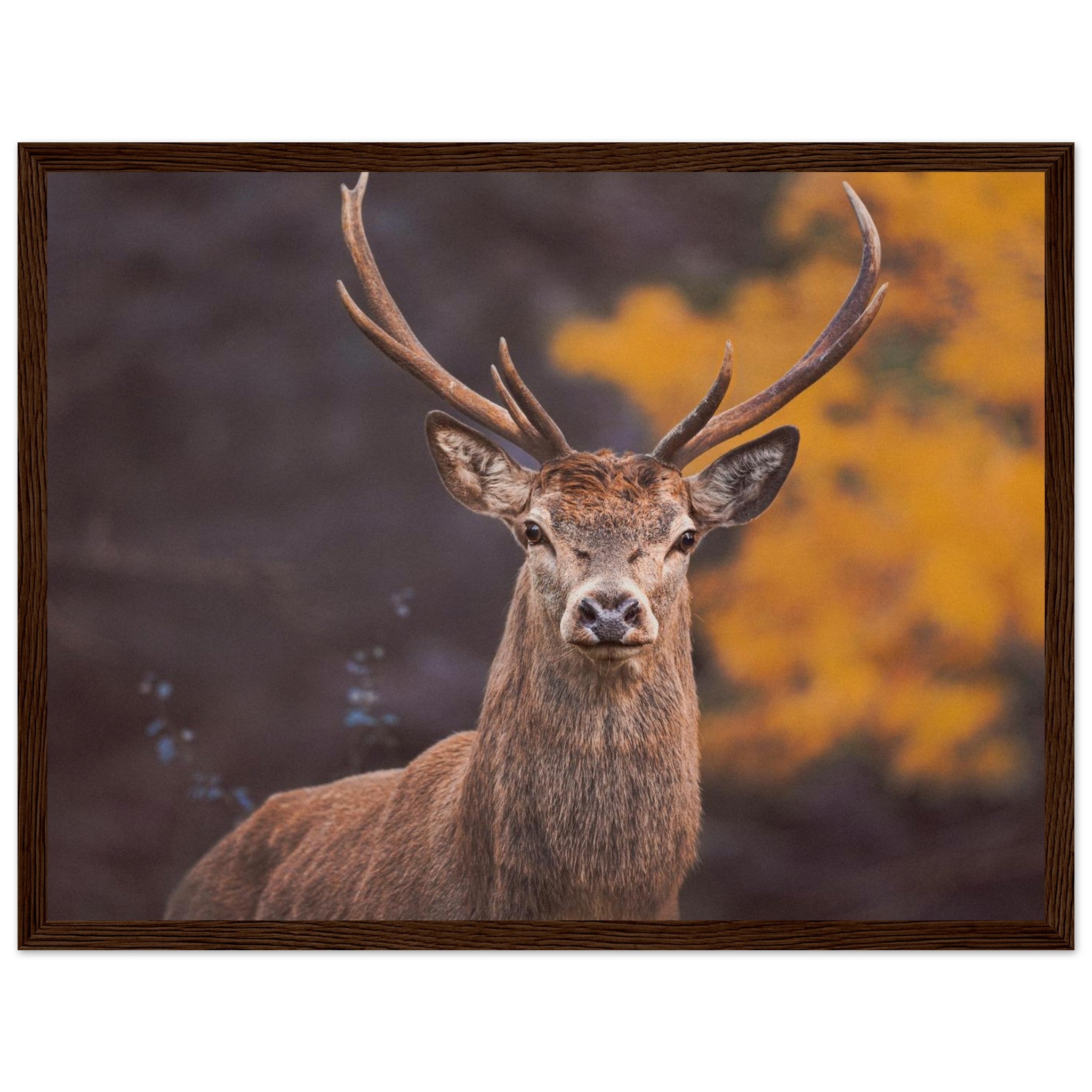 04a7a8ac-6399-475e-9084-9d7b4d2dd3bb