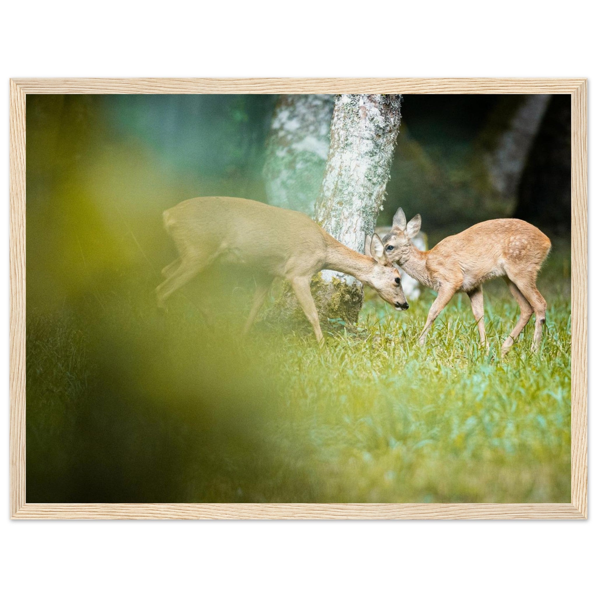 0599c93f-4ec9-4afd-807c-91e5e0da16bf