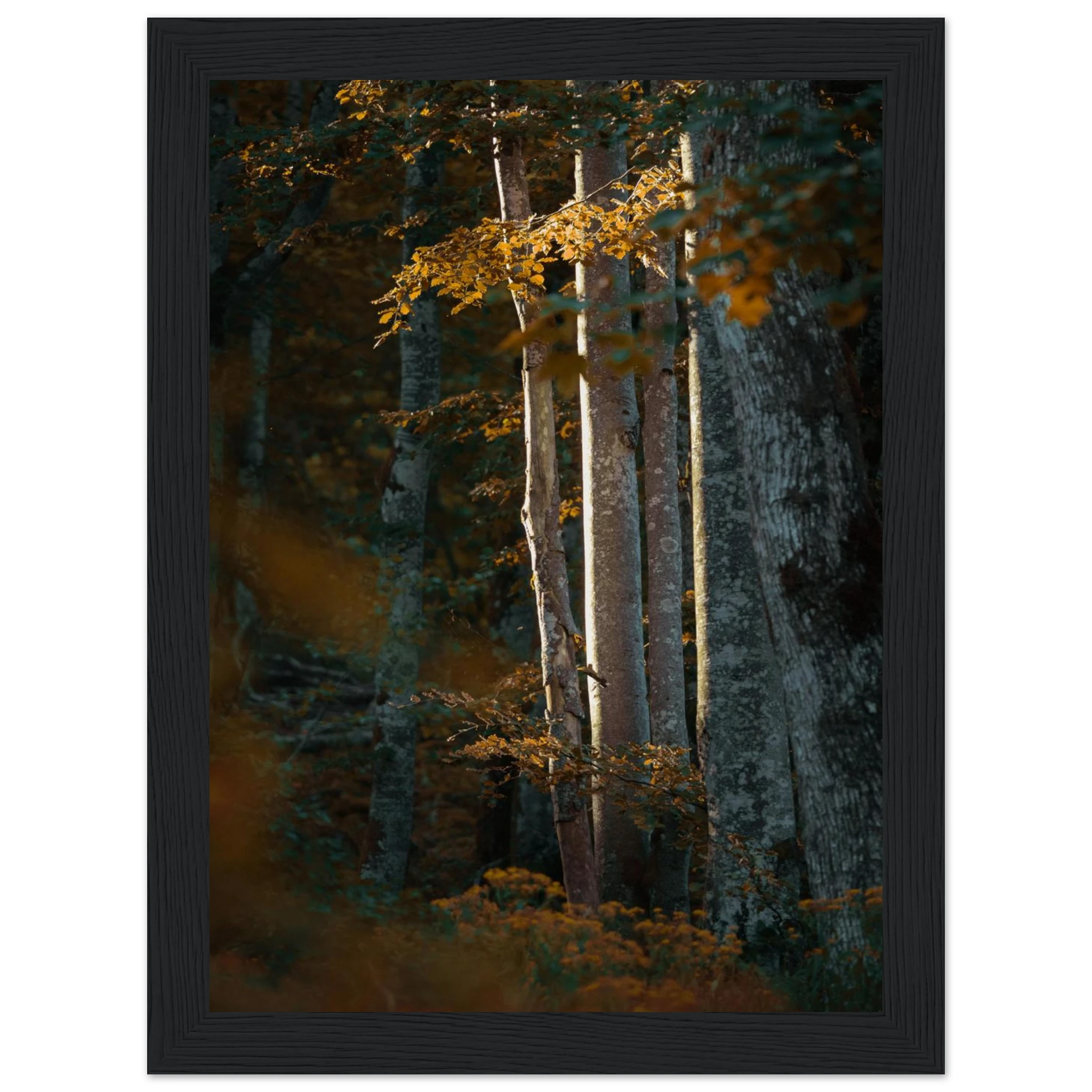 072ff1b2-4f2c-485d-ab8b-9fcd7ba1e691