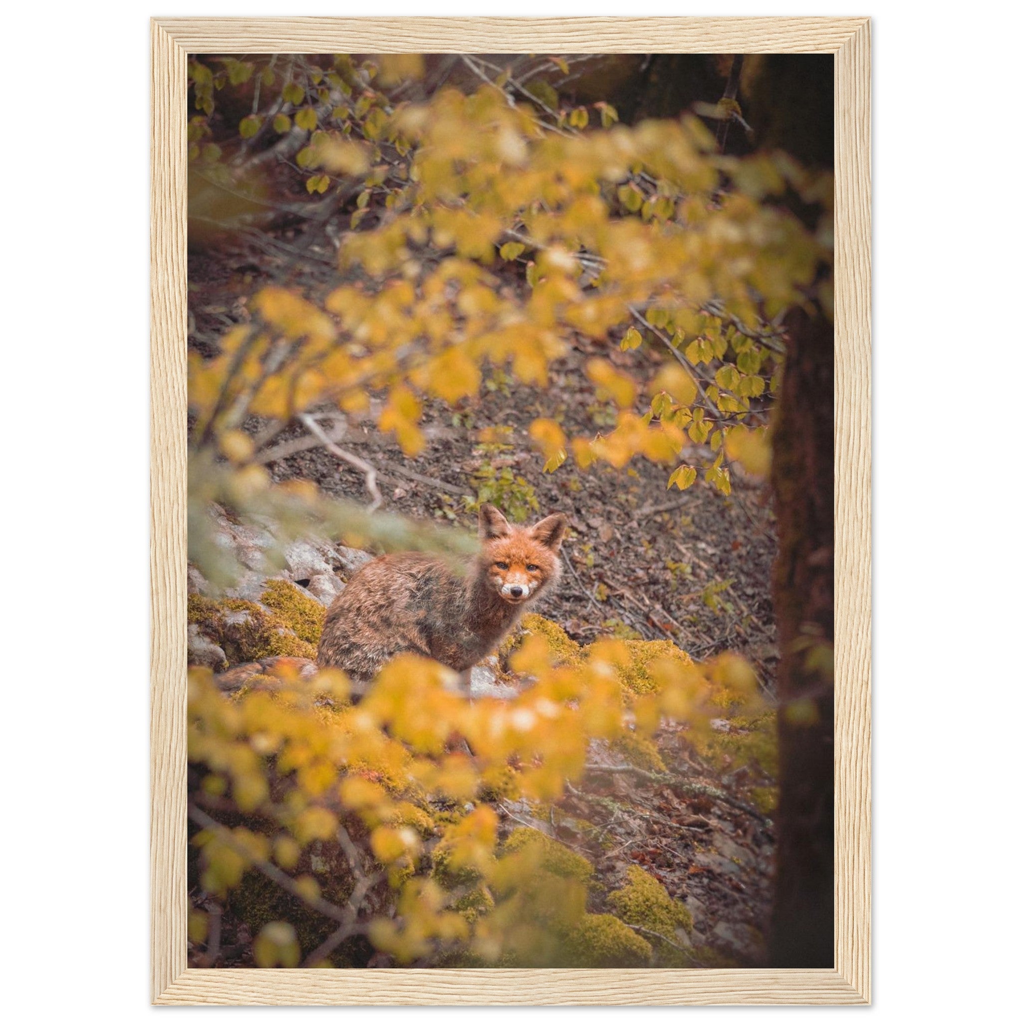 08ca5688-d684-4bd4-bb92-e7fefc753efa