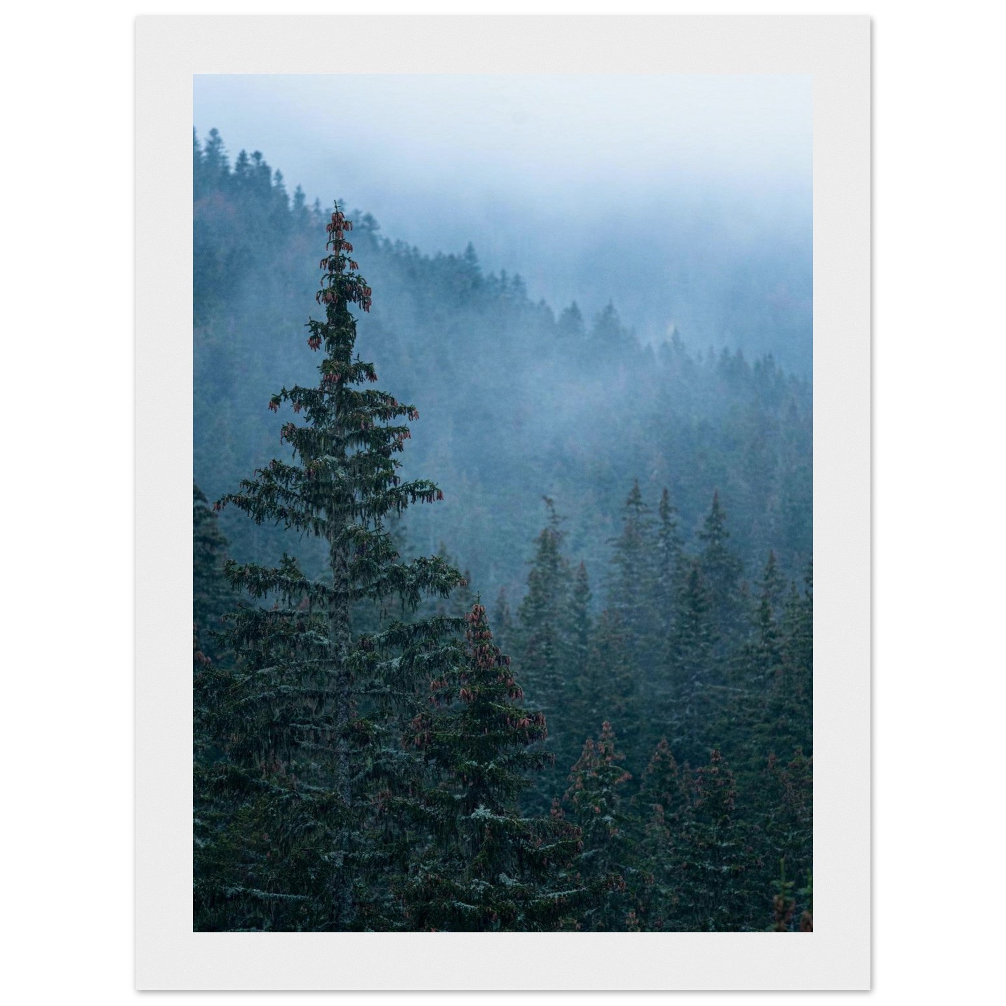 09f2fe58-b717-4787-8d97-1d353843e107