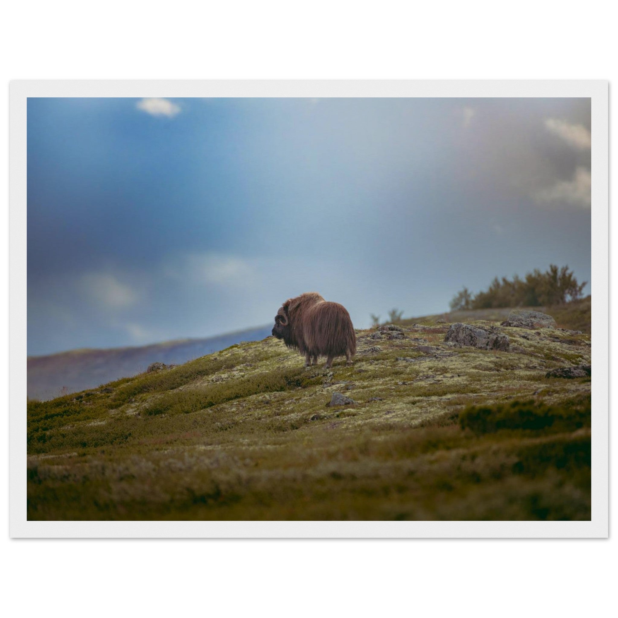 0a09963a-d28d-4066-958f-b0a12a9b41cd