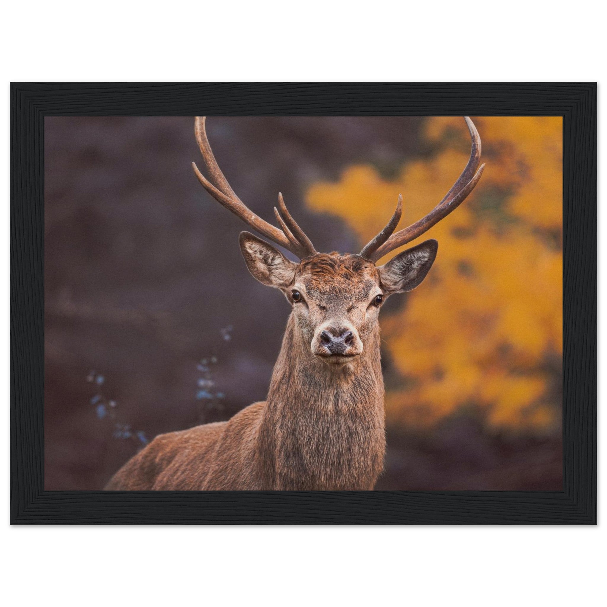 0ad503f4-b5d5-45a9-b3a2-f15dc287c198