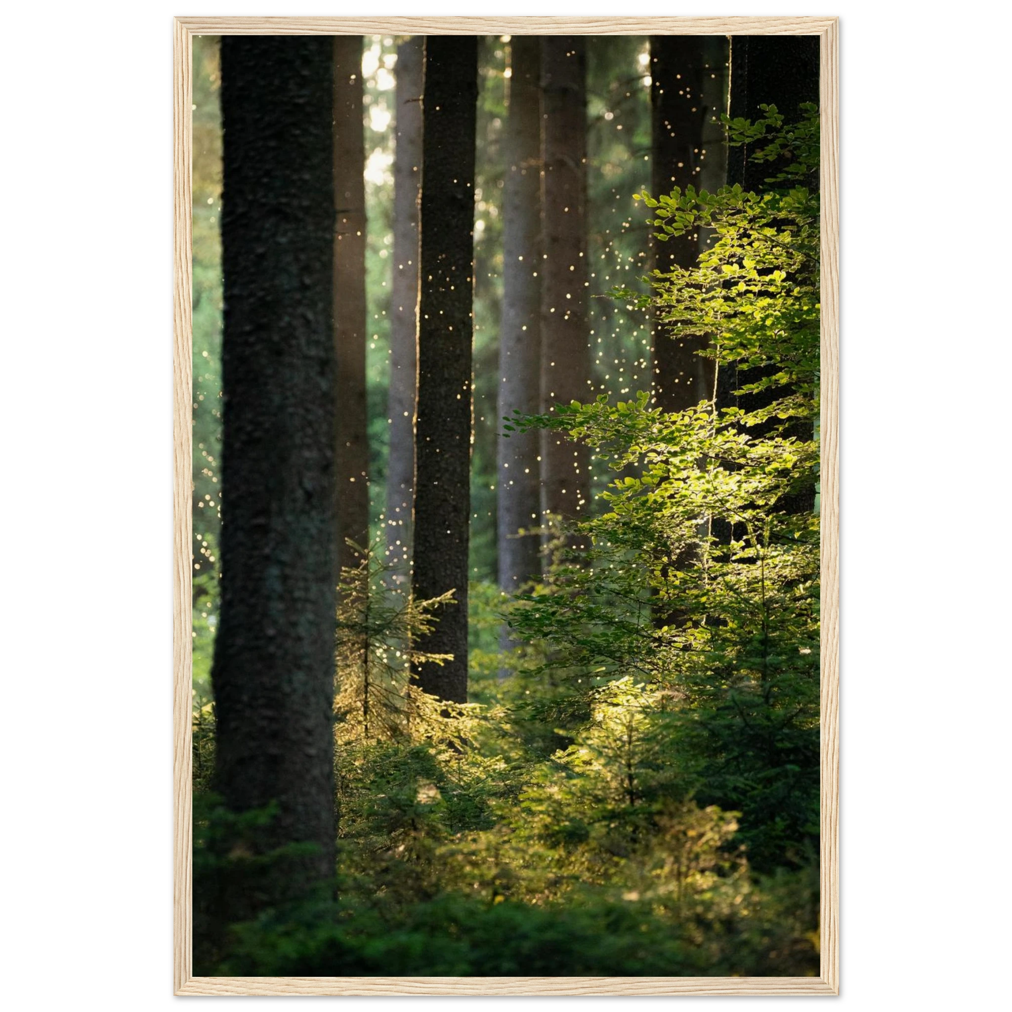 0b94a20a-f572-4617-a09d-f2c77dc200a6