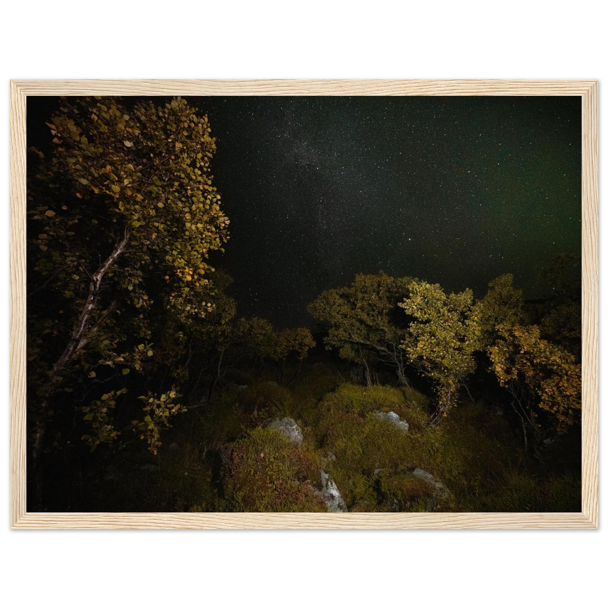 0c4328a6-61d8-4a86-afc9-a274e545e1d6