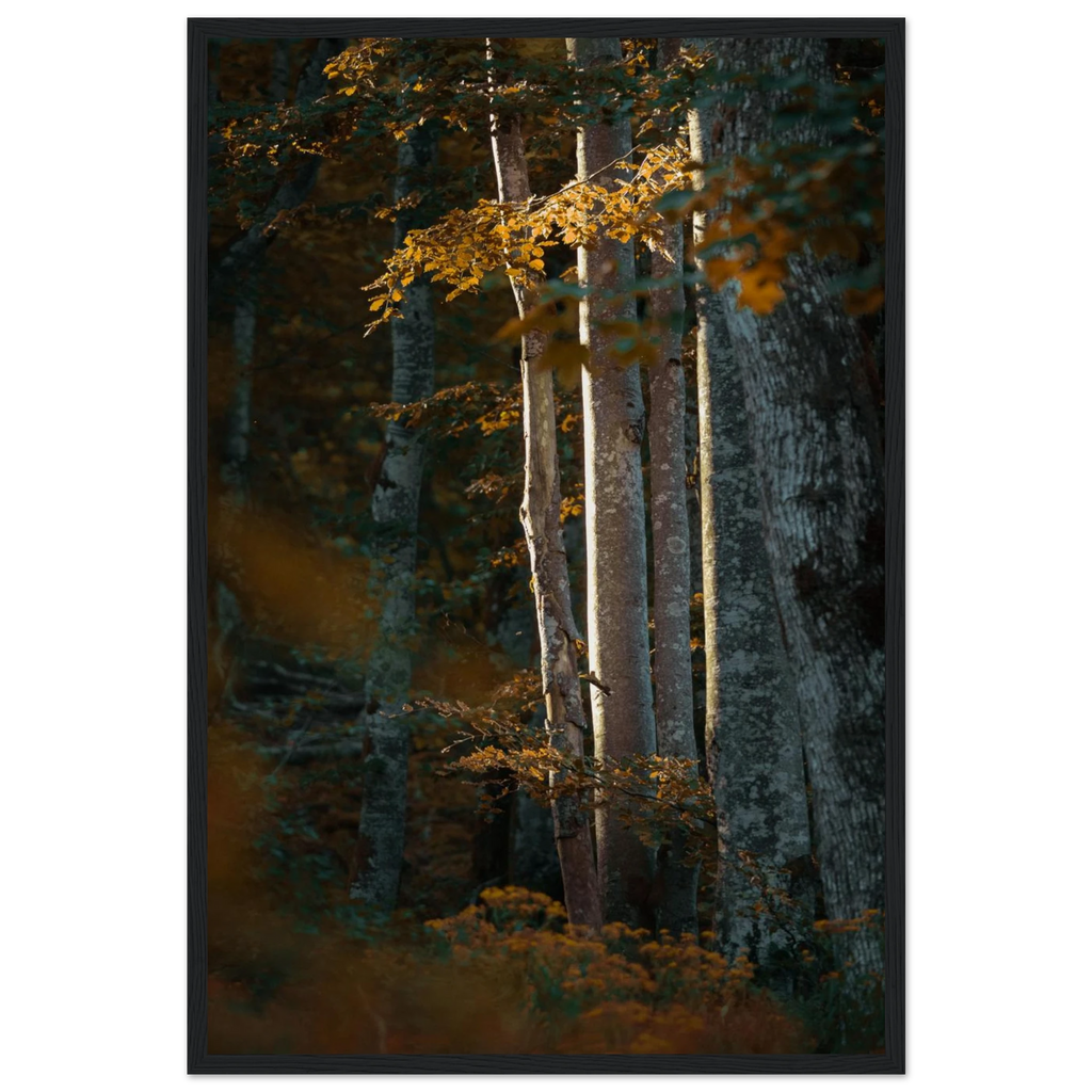 0cf6c92d-9fa6-4809-8a88-41b3119213ff