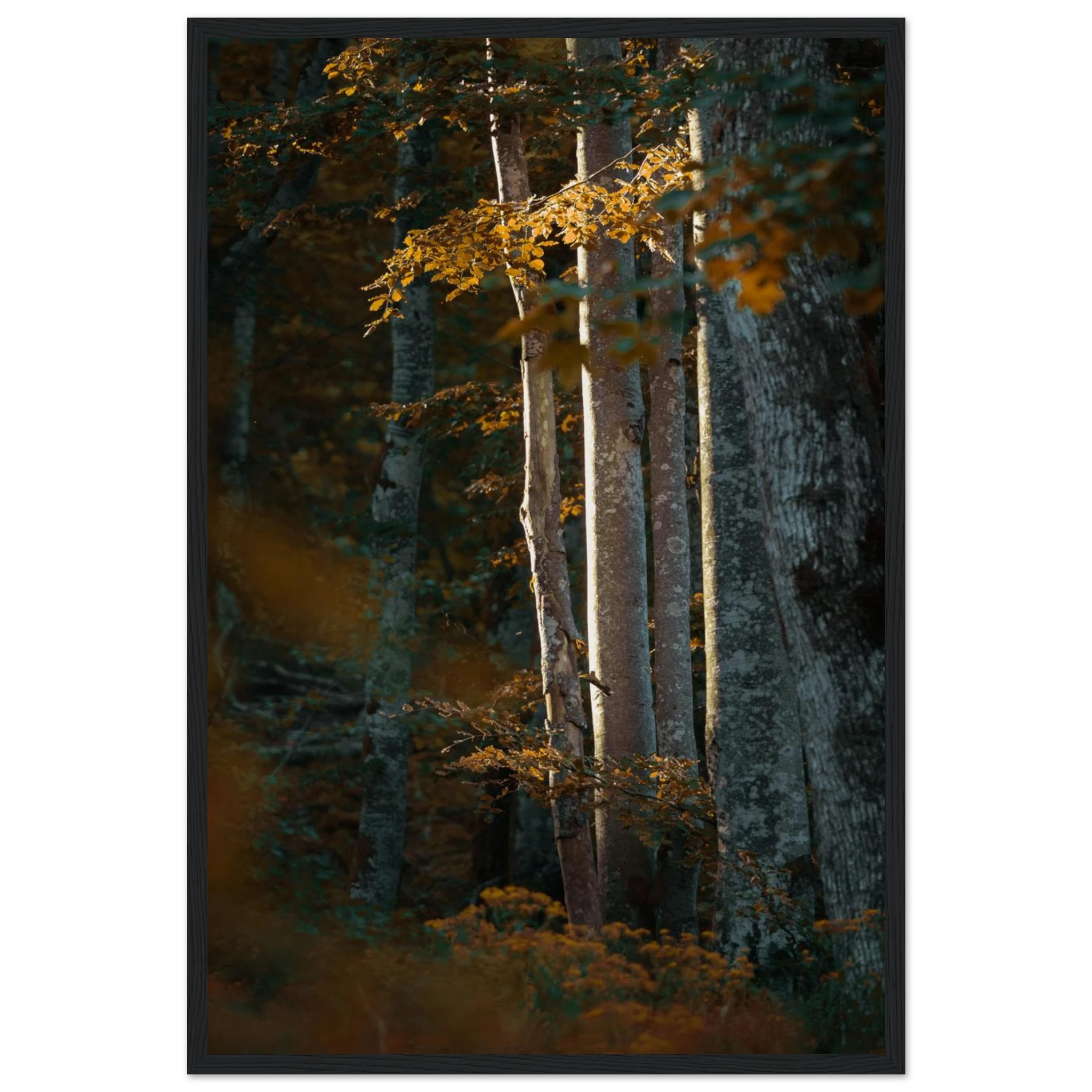 0cf6c92d-9fa6-4809-8a88-41b3119213ff