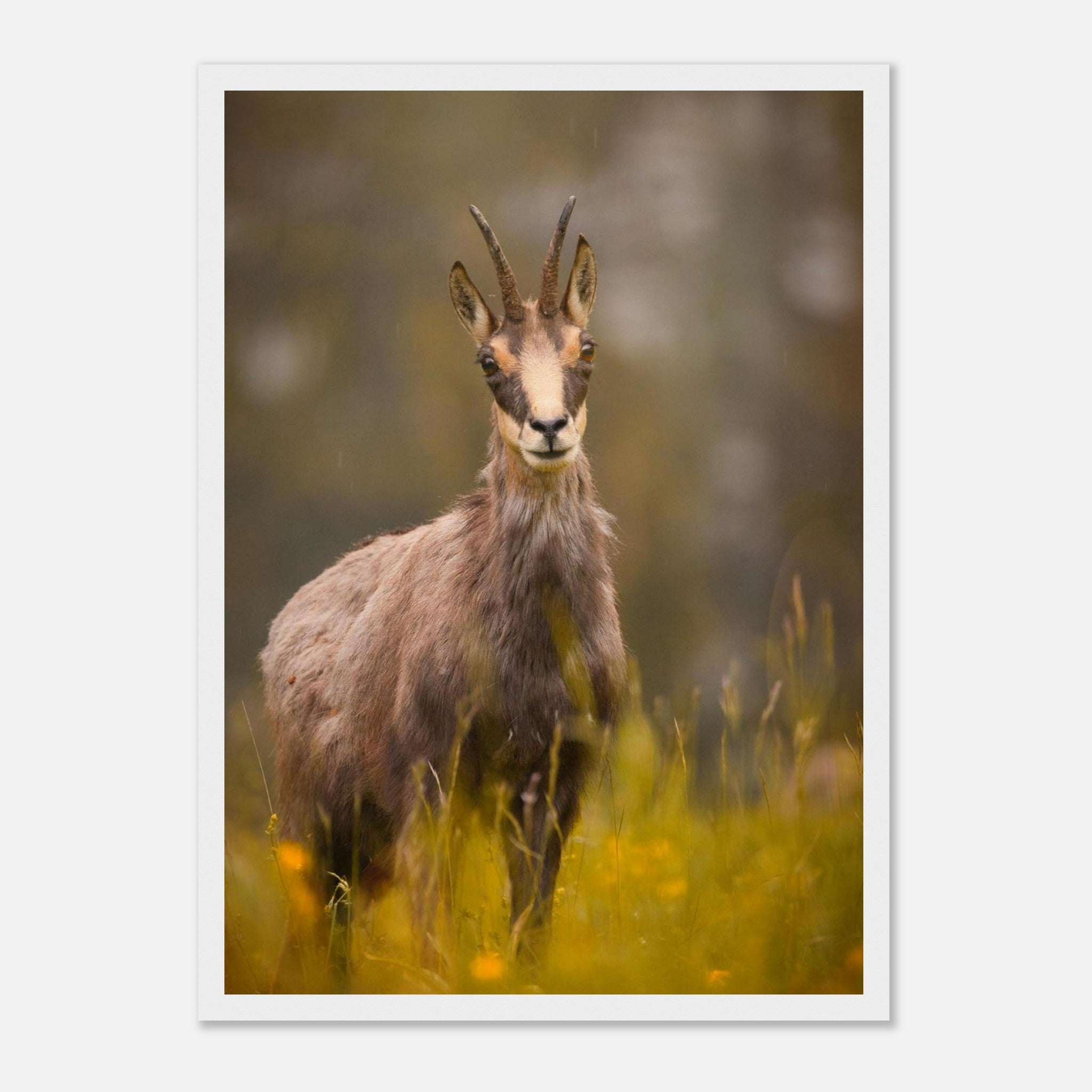 0ddcffc9-370e-4cbf-9a04-83a6c5a7dc04