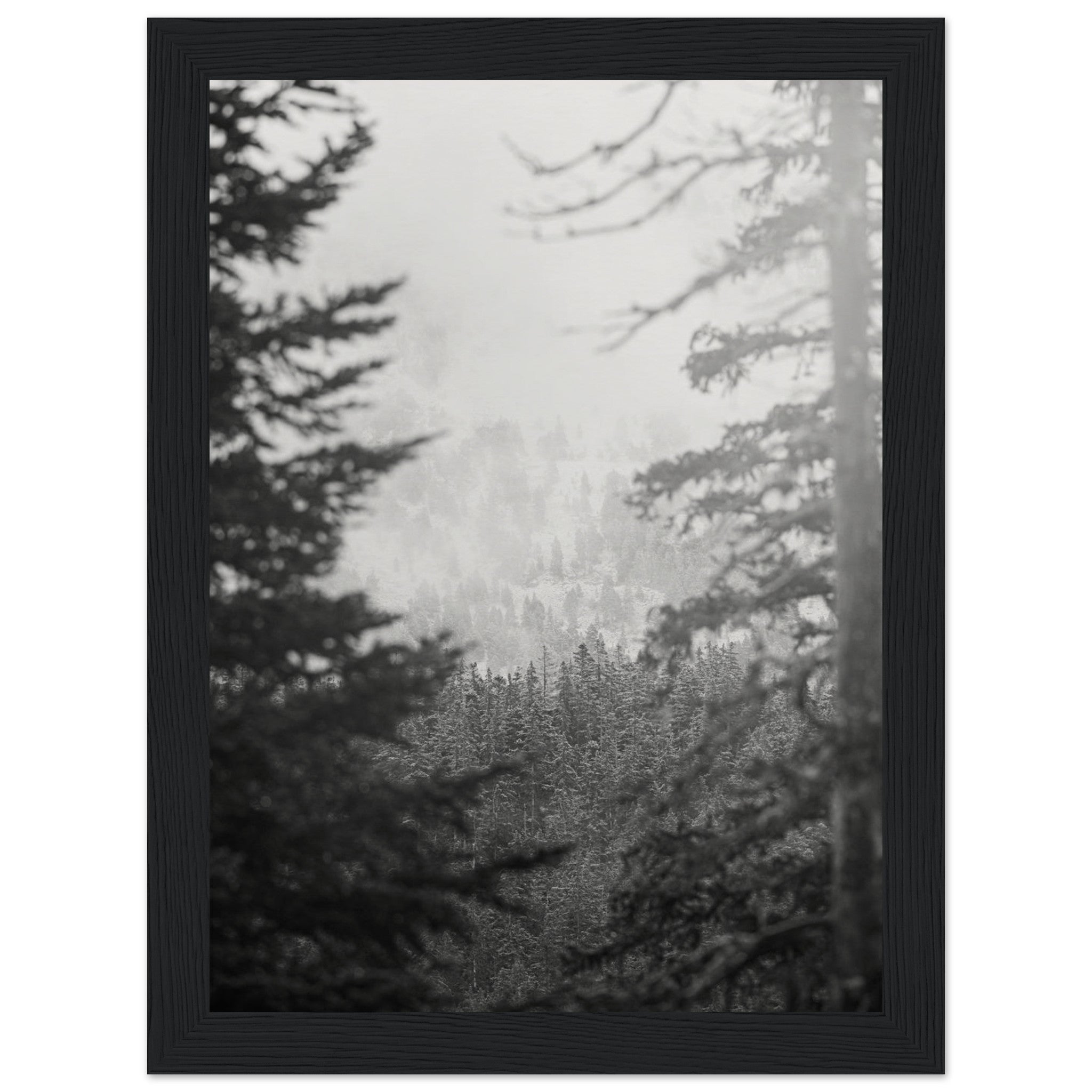 0e4494e7-0782-499e-a173-f83f2e413c4c