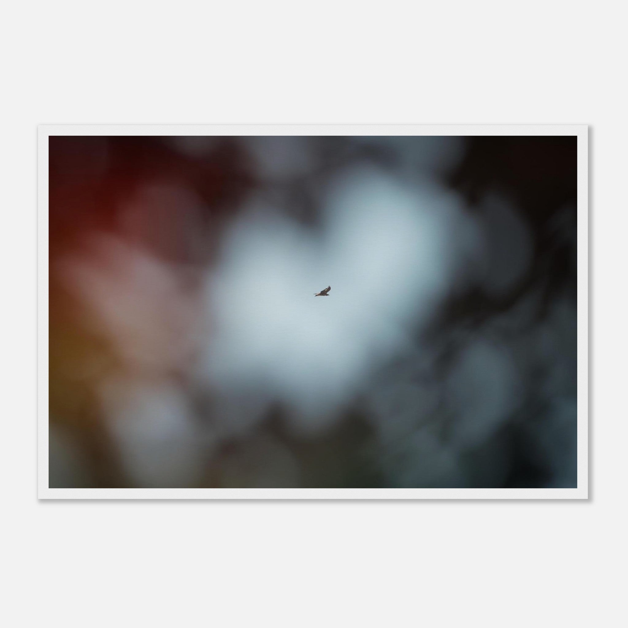 0f746911-186e-4f52-a7ac-c9d808fd6243