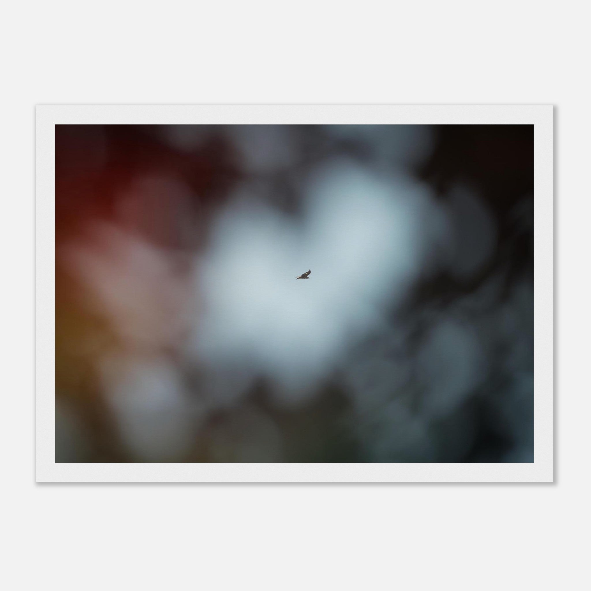 105dc544-6e79-457c-8f9f-c29c33a1cb2b