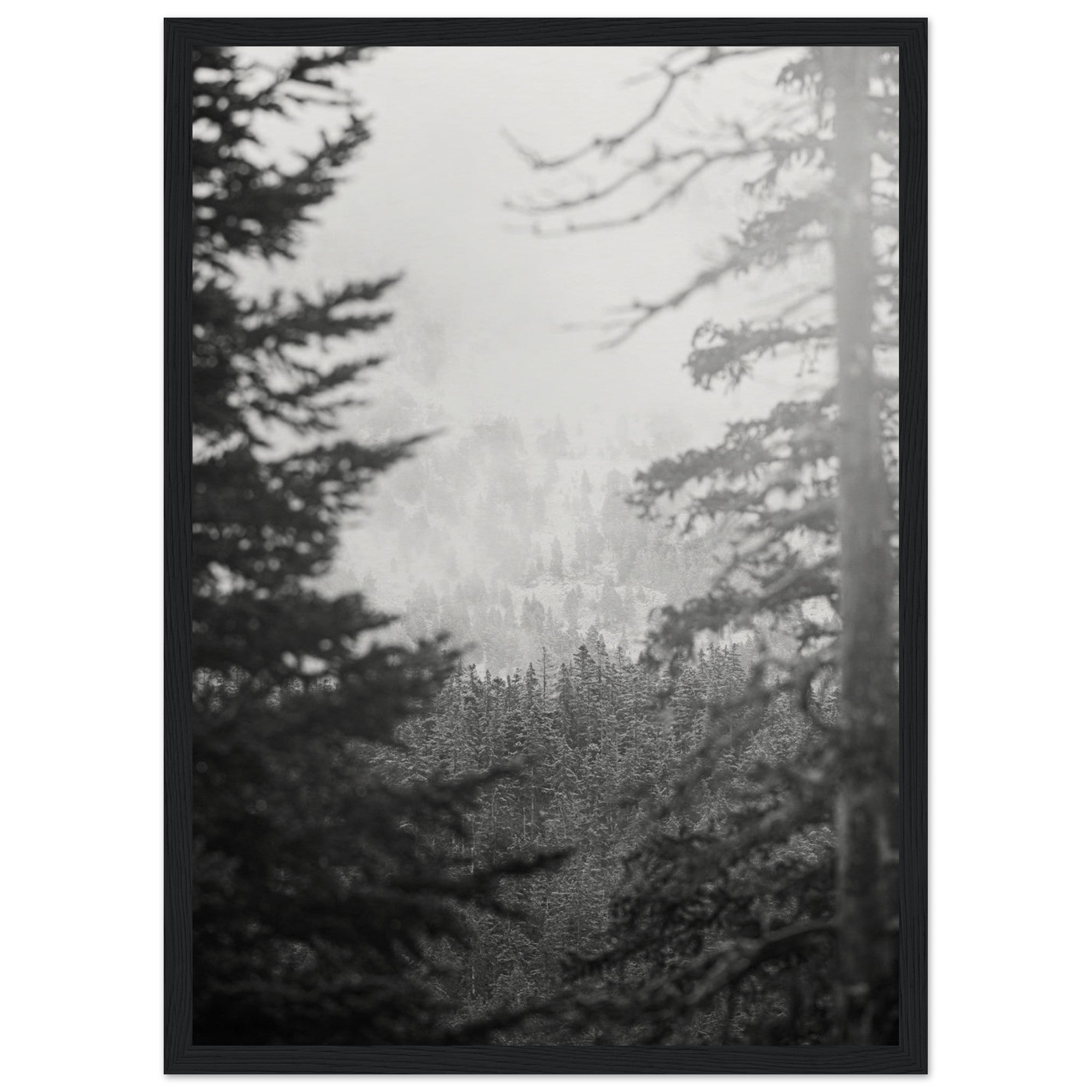 108133a8-0ece-4690-902f-33c7c6e42556