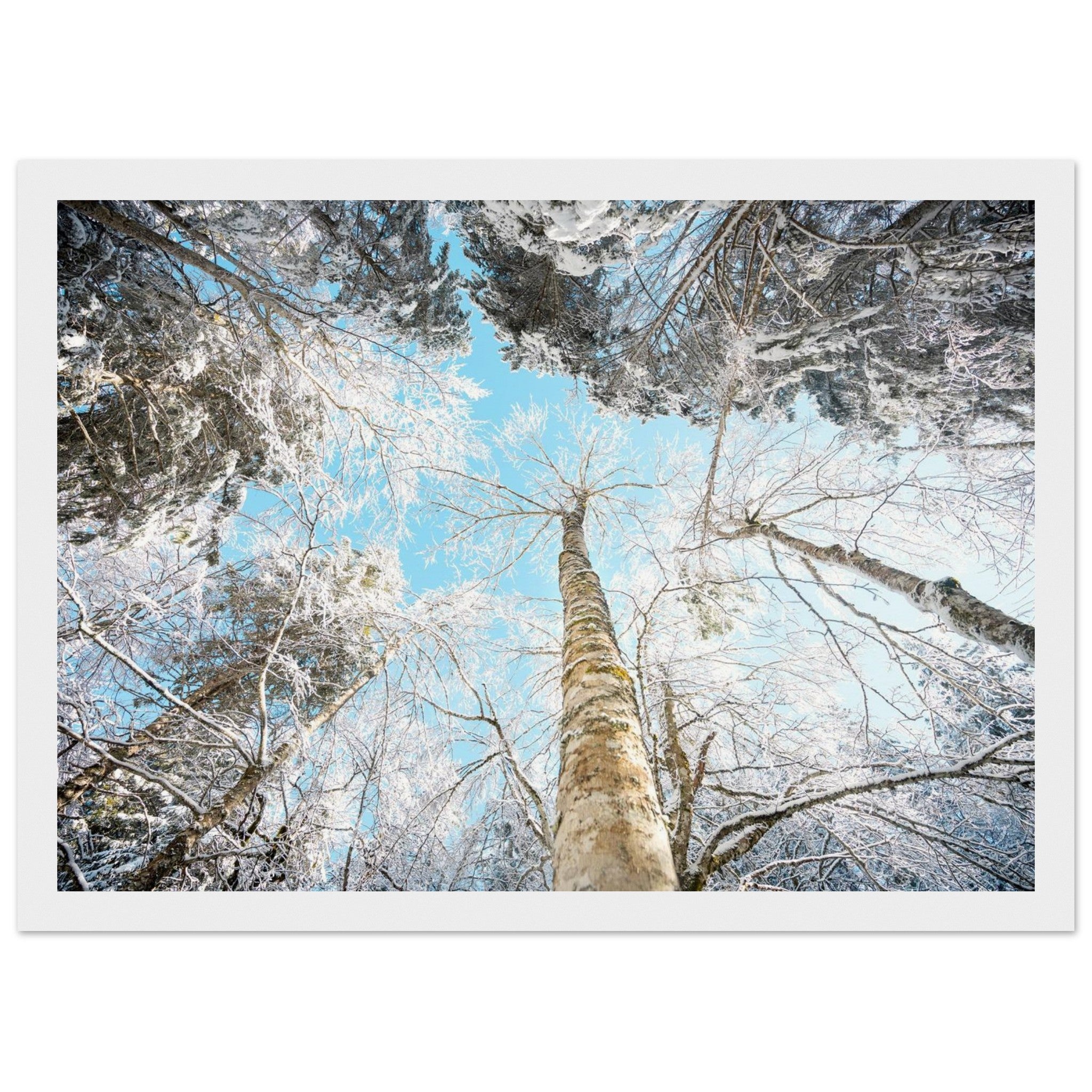 1213b67c-2a22-4299-afde-3398f34bf613