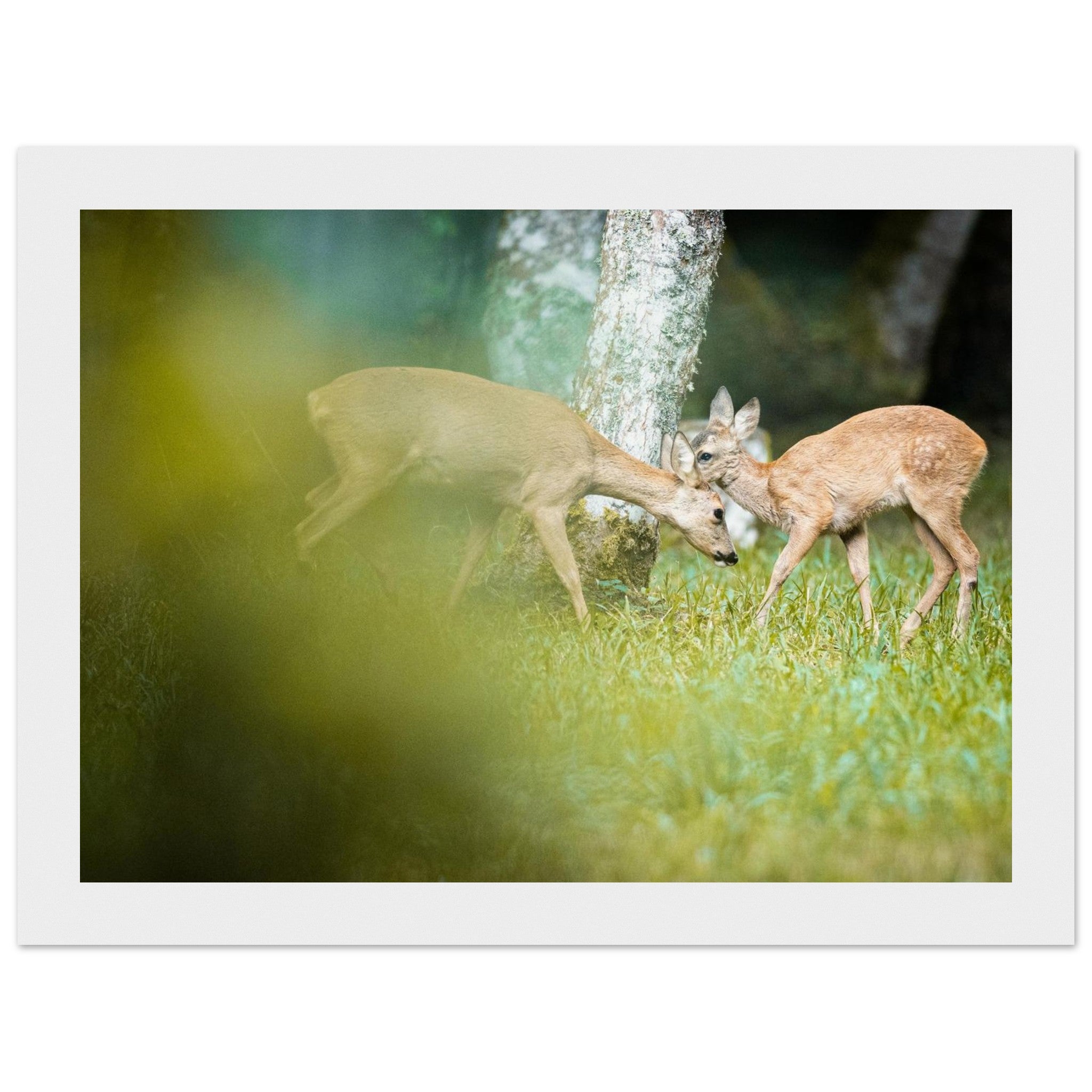 12ffd59d-7e35-43cf-a1c9-91098c826f5a