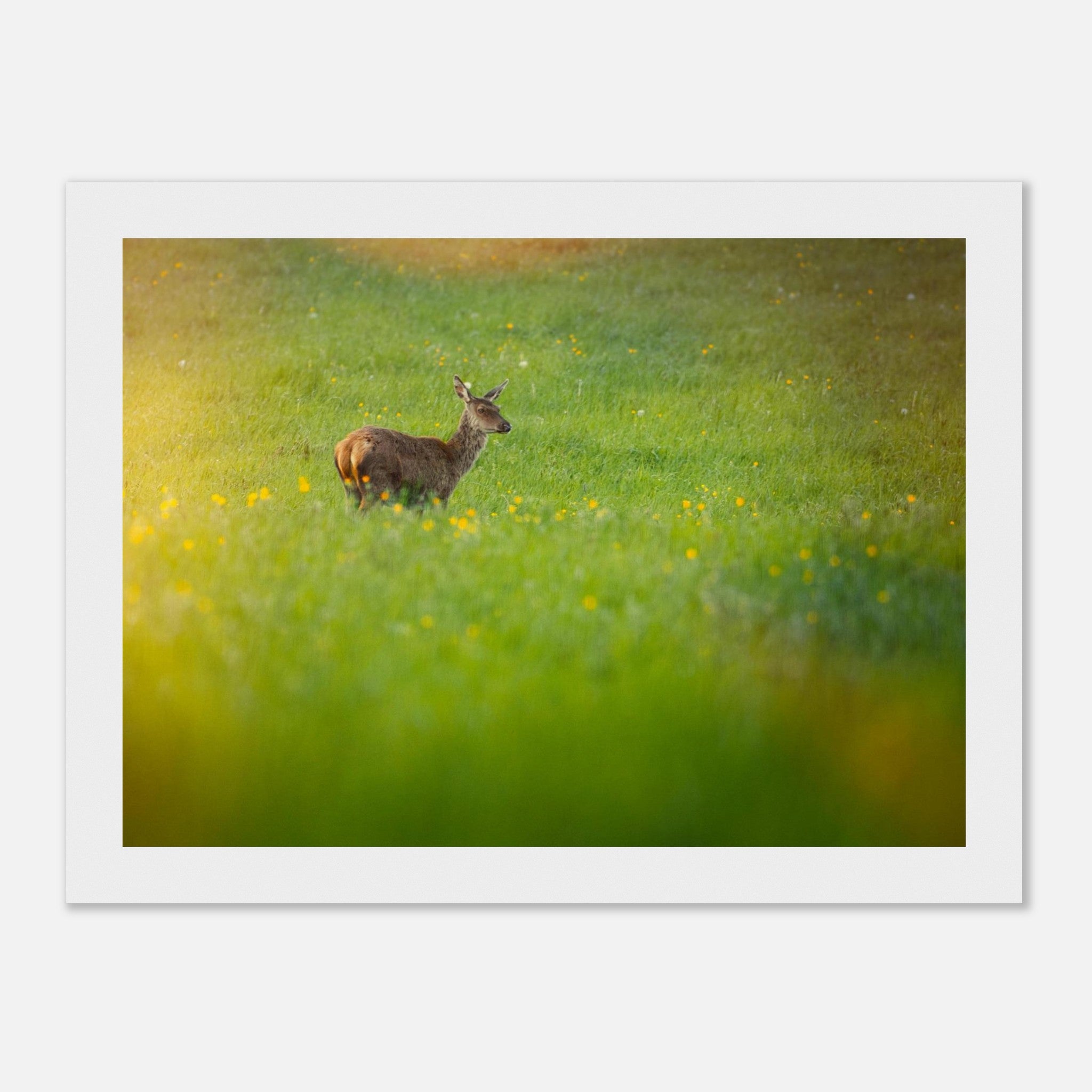 149430a2-3549-4d07-93bc-48aea5a3f4ec