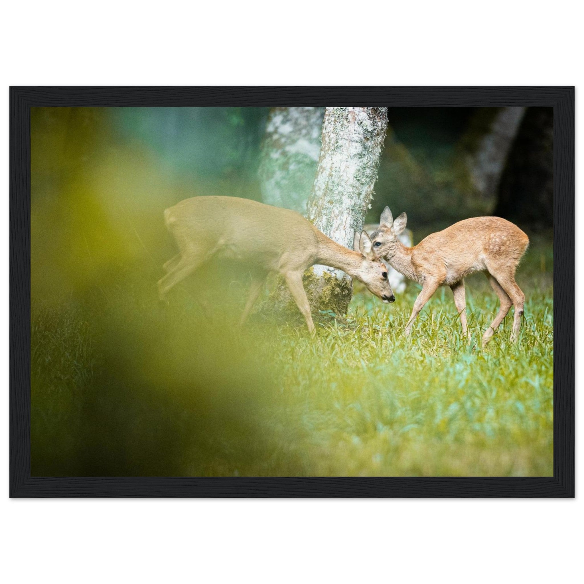 15223422-6762-4f20-8b7e-689ff5bf8e63