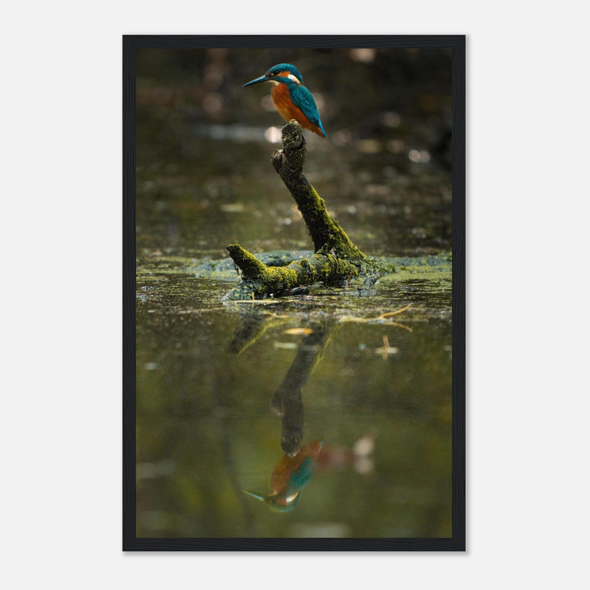 18353d65-f3a1-4649-93e7-df977252b747