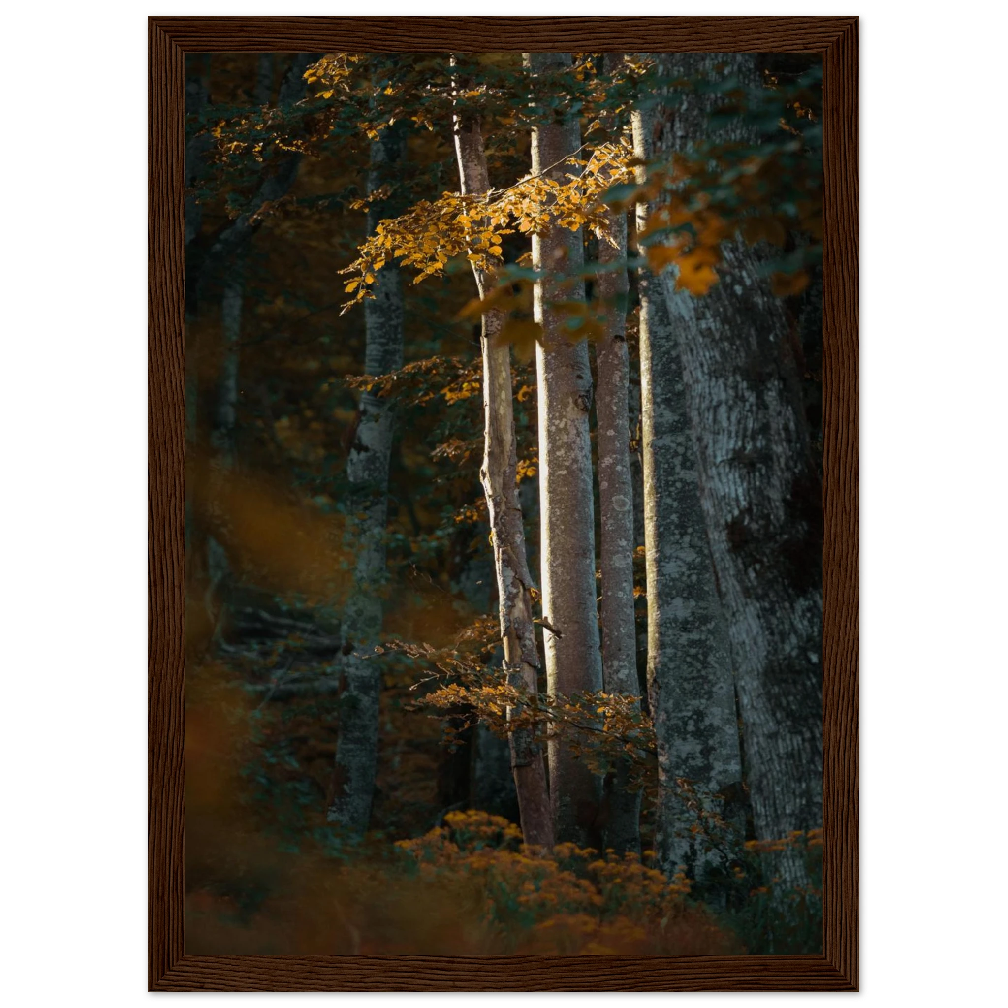 1898a0e0-84e1-4307-8f60-206708ef3c7d