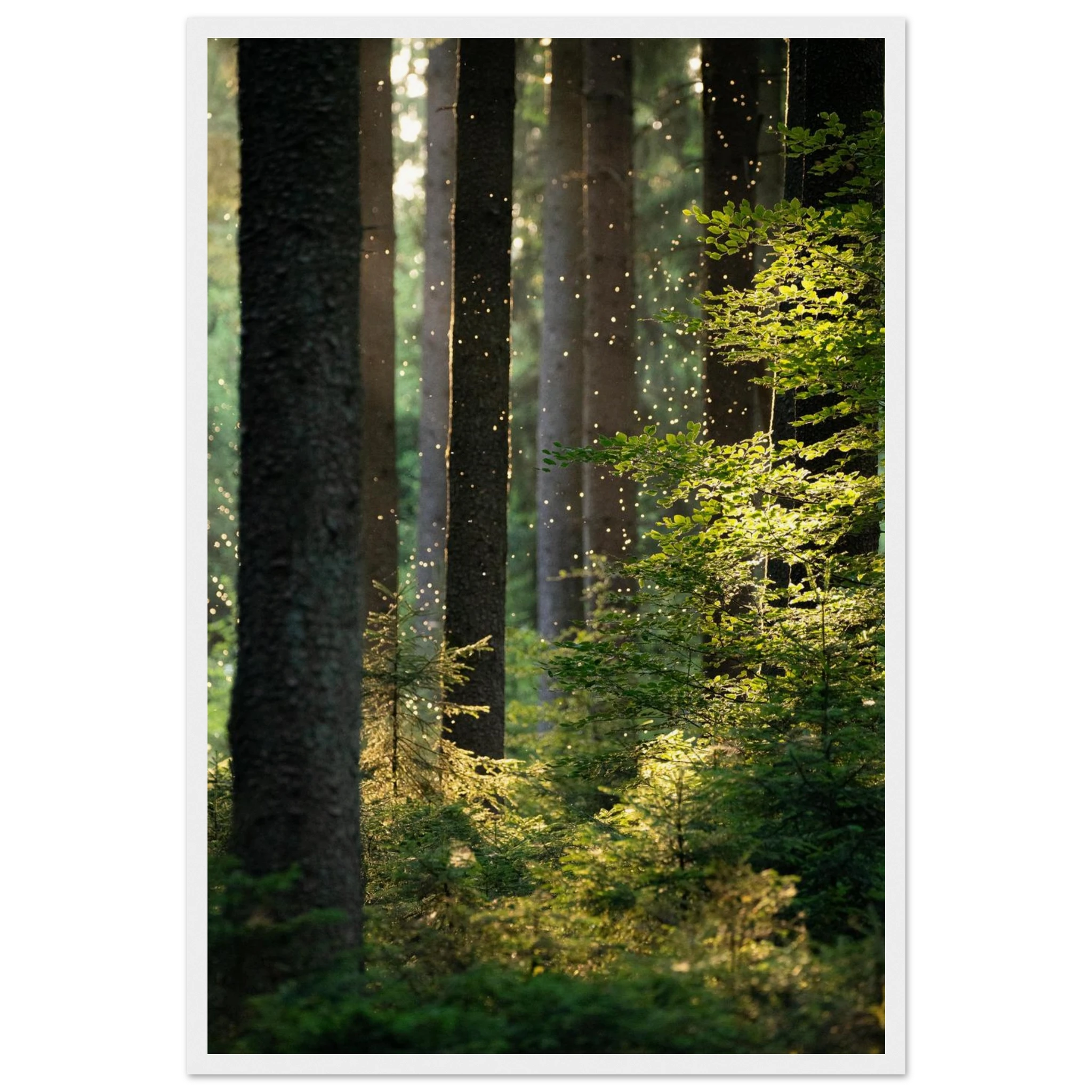 1ad48bda-acf3-43d2-8486-b97acb319ac5