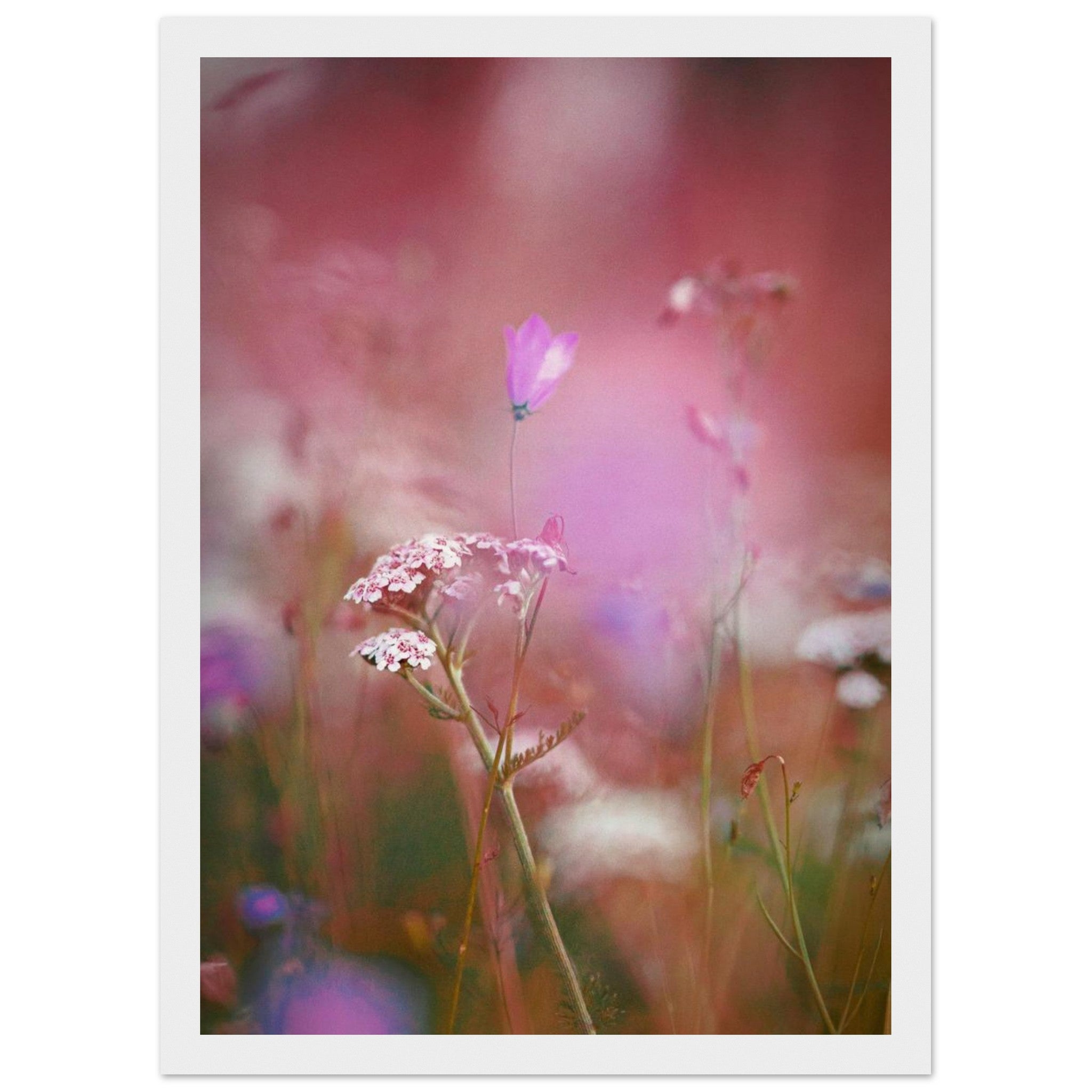 1ad63401-2fd1-4a1e-b883-6be16e3cbd4c