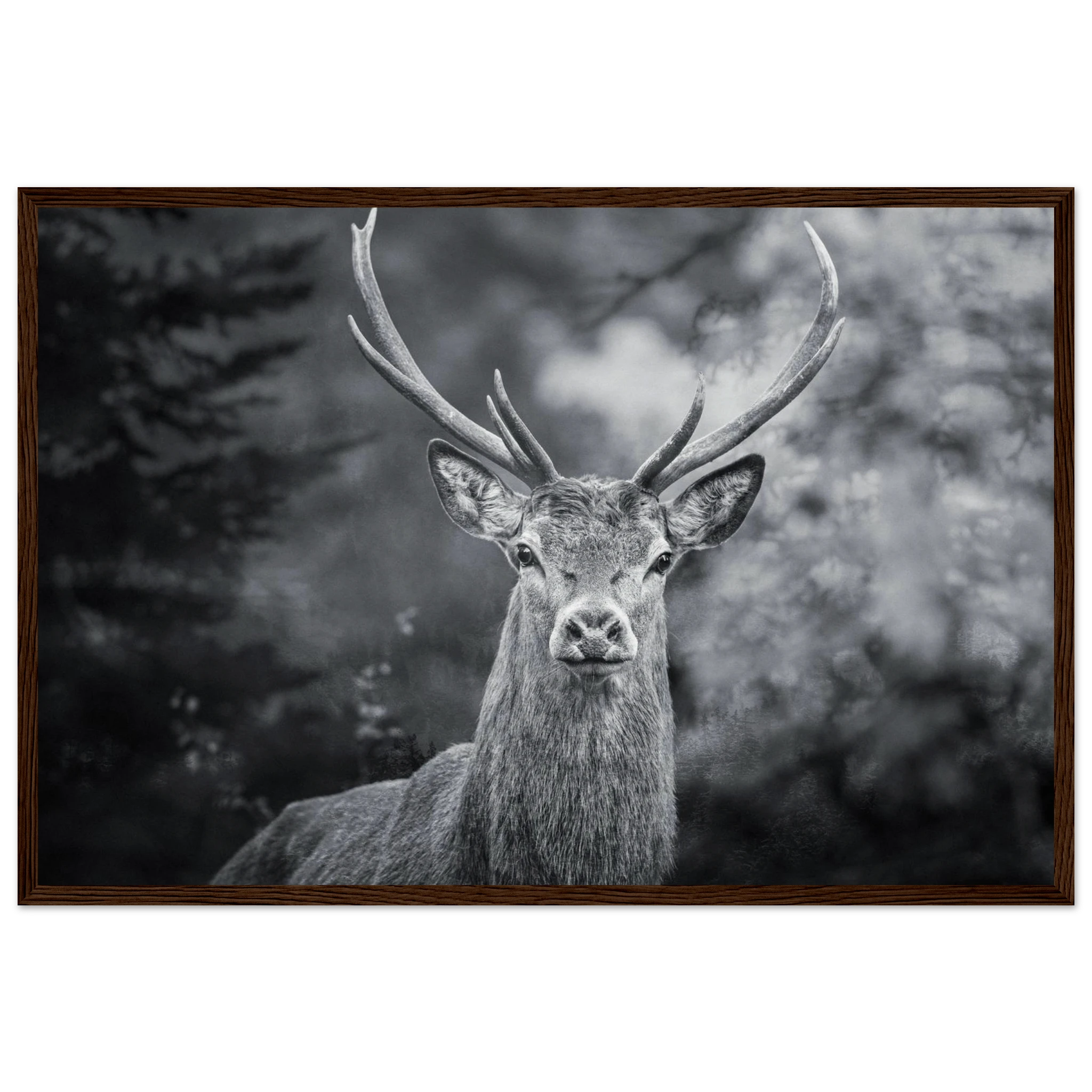 1c070e43-bae8-47a0-ab2f-c68b882f3518