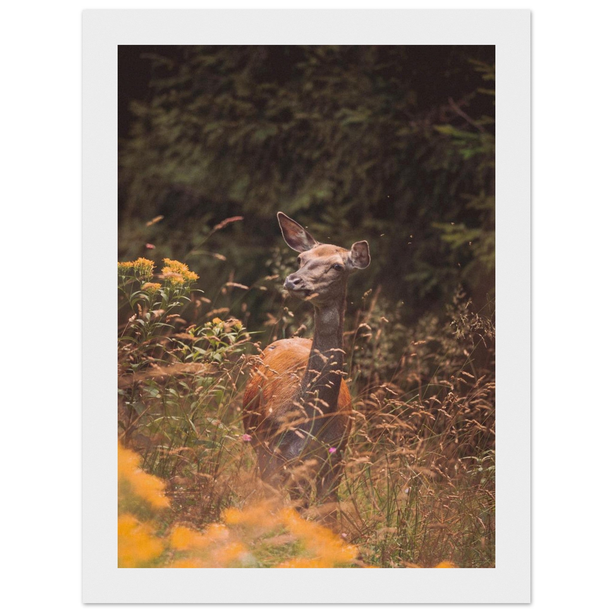 1ca41c03-ba16-4eab-b6aa-cce6cc3f9dc7