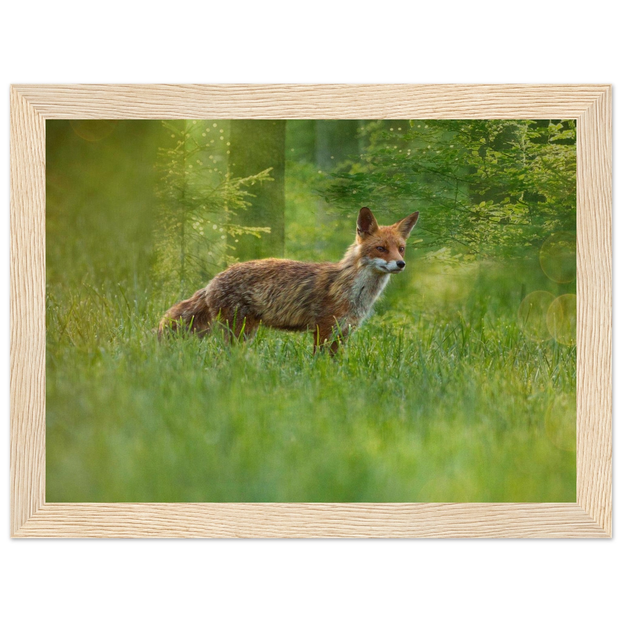 1ddc53d7-4e1f-4416-9dae-438ad57d6b6e