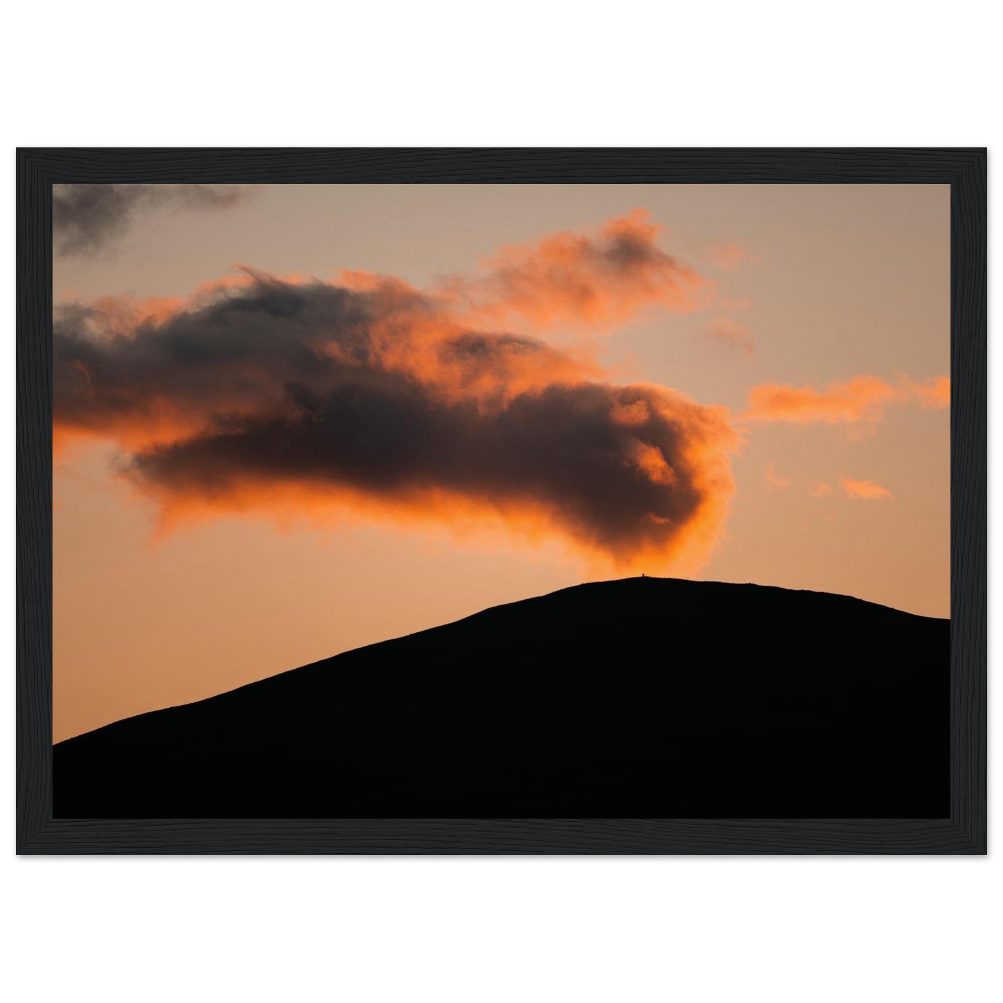 1e7413a5-f43e-4462-bf22-f553fc629e2e