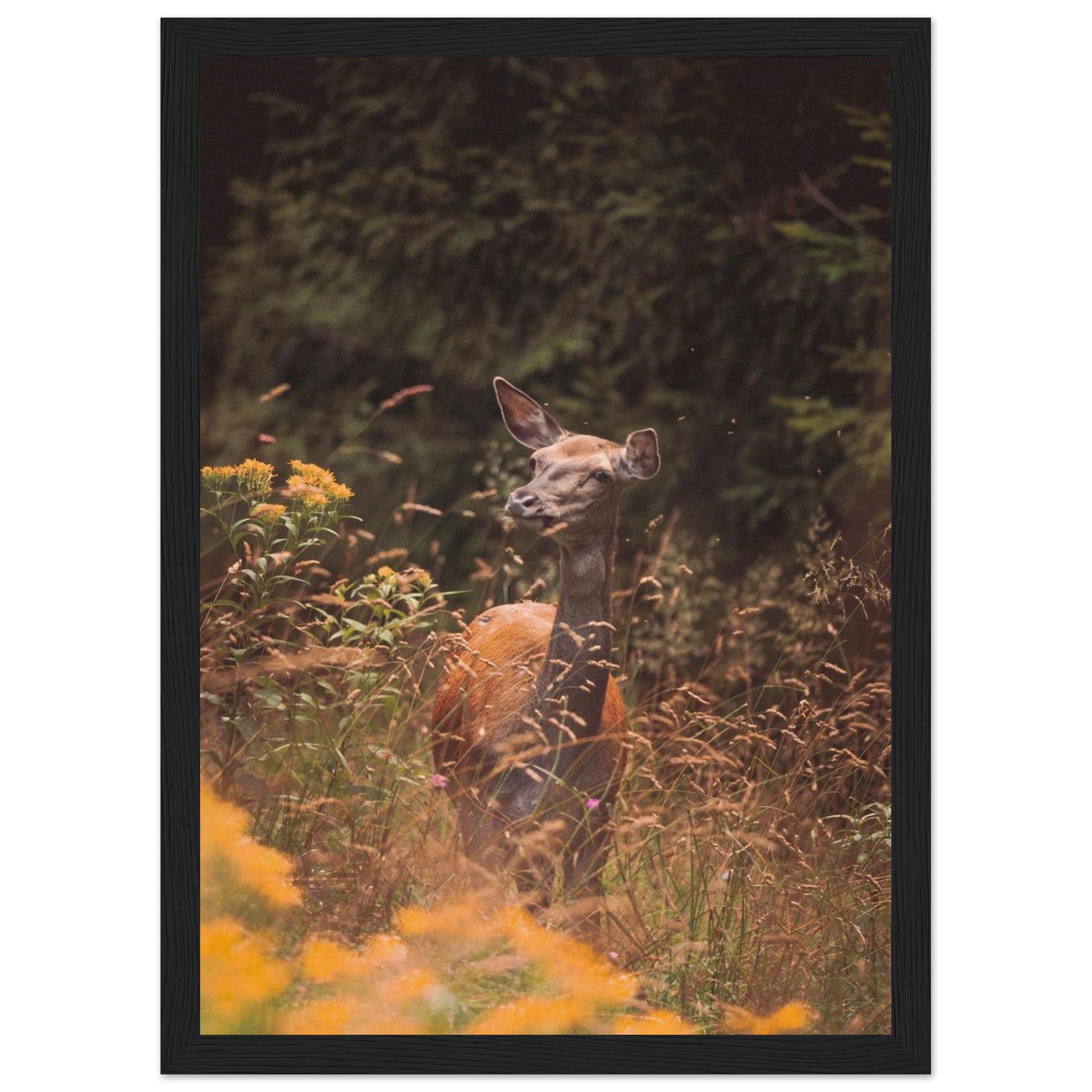 1fd4e23c-08f2-40a5-a3db-bb678091b492