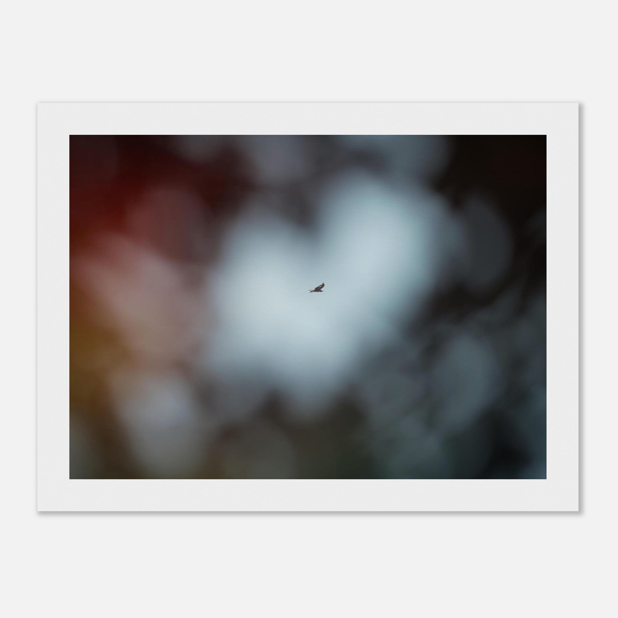 22326887-173b-4062-9ced-856779cead93