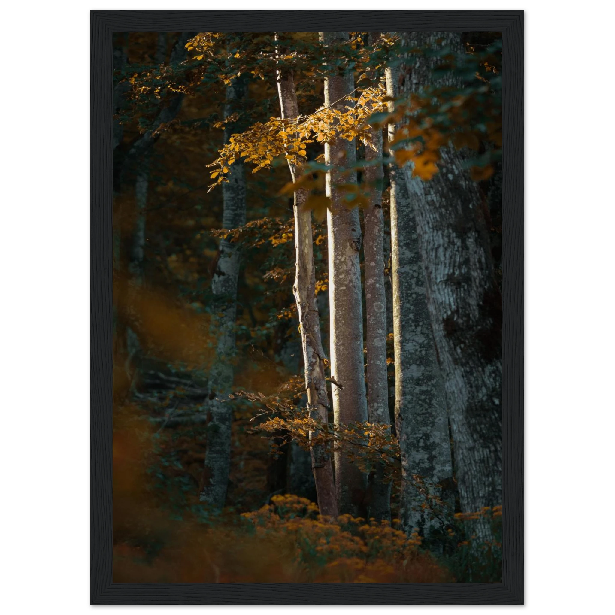 236fb1b1-6174-4491-b7fc-81a50bdb9247