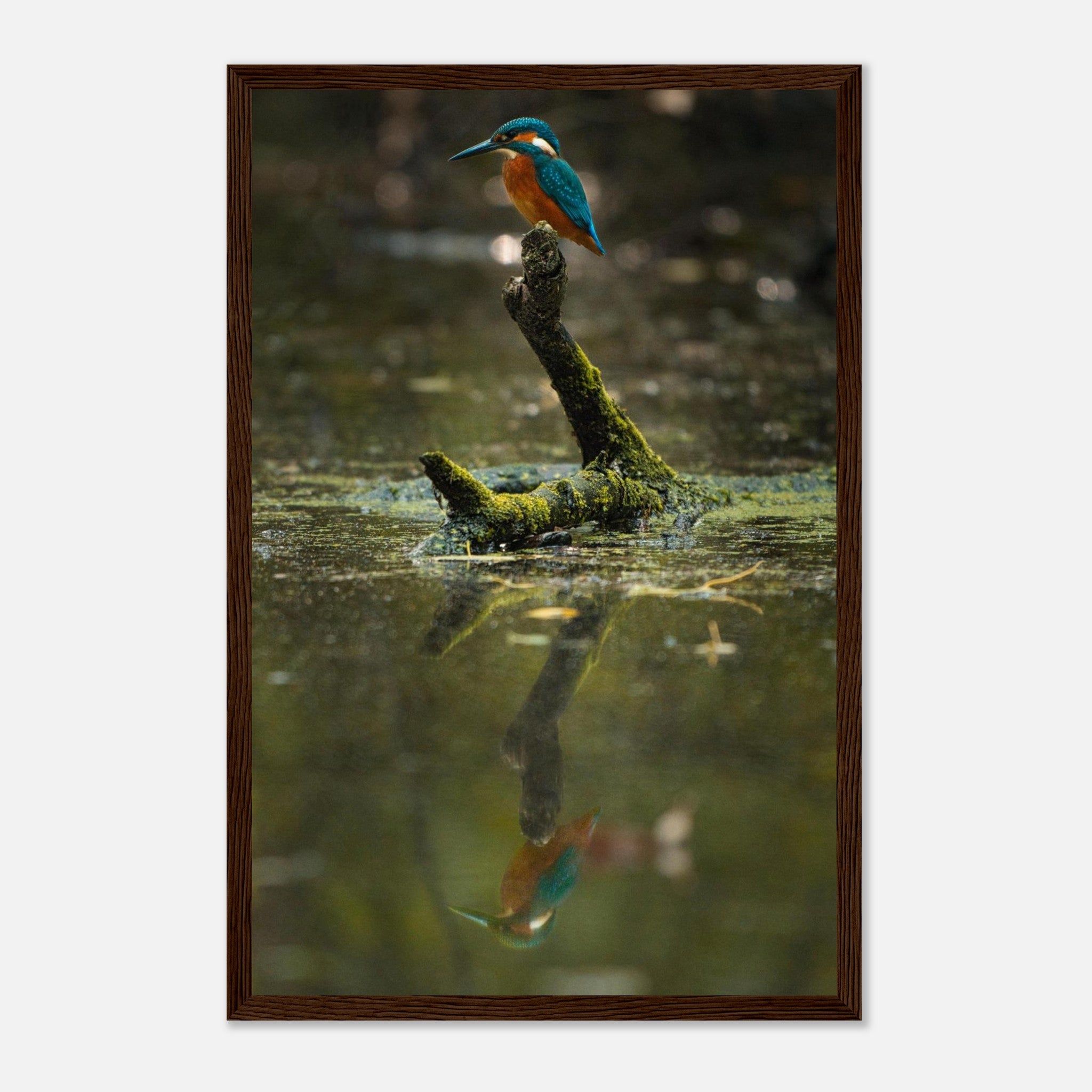 252f1ff0-c5ce-406d-b448-0baac6ee6b9b