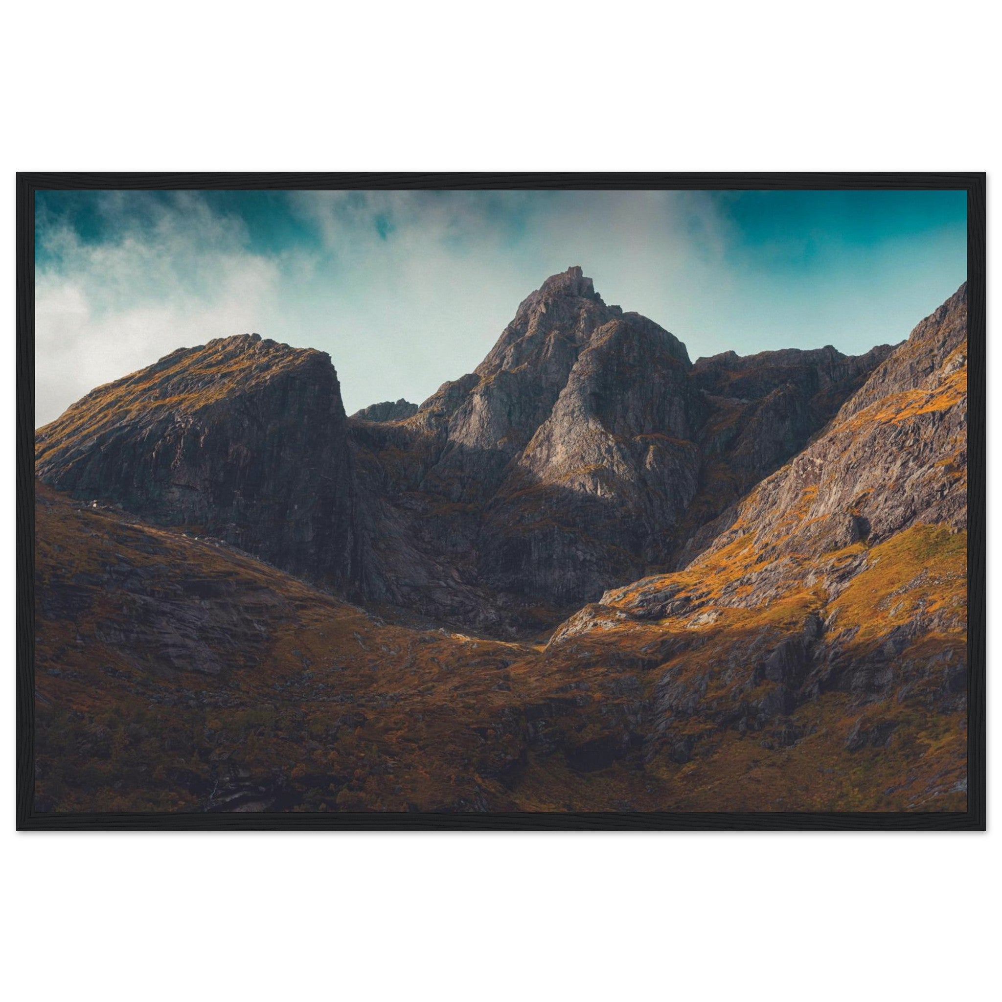 26cc5ea4-15bb-4049-a438-b218760315e9