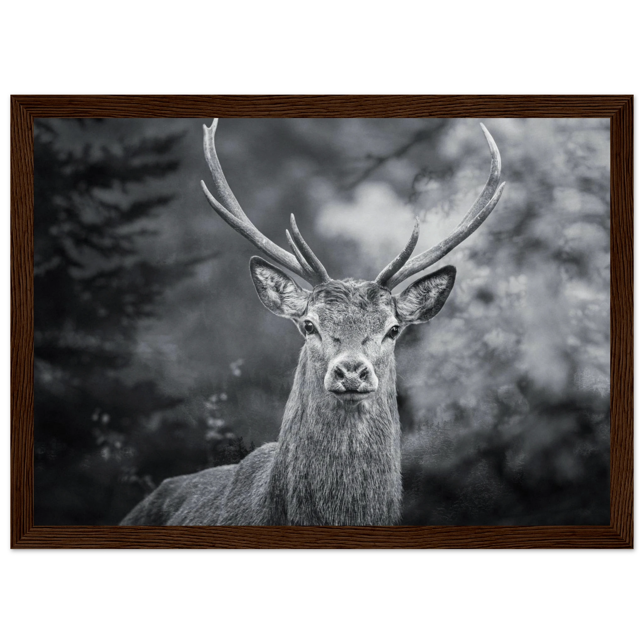 26f65b70-dc37-4429-b998-321e1402b1f4