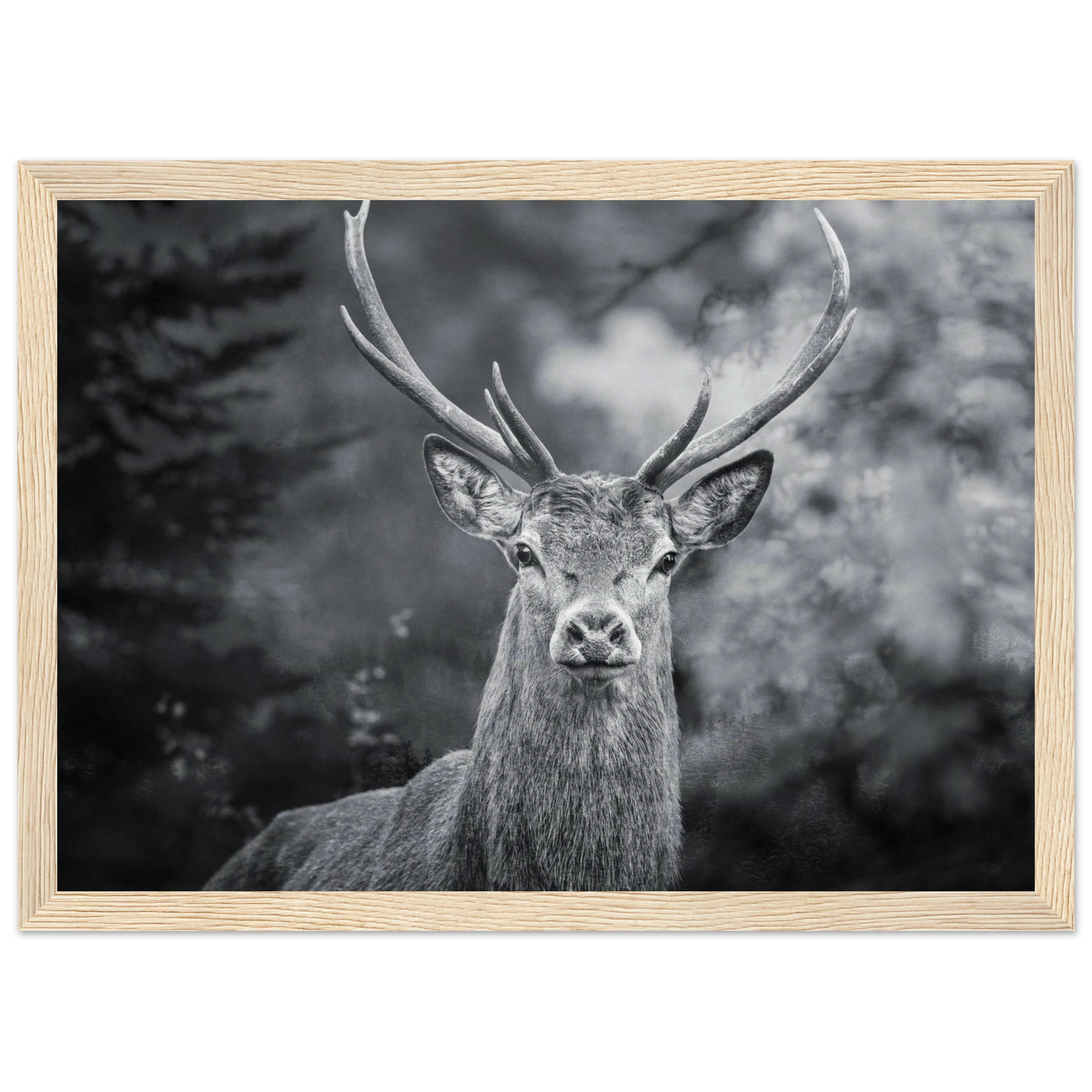 27bc575c-9dd0-43f2-a61b-afa40b9a9f90