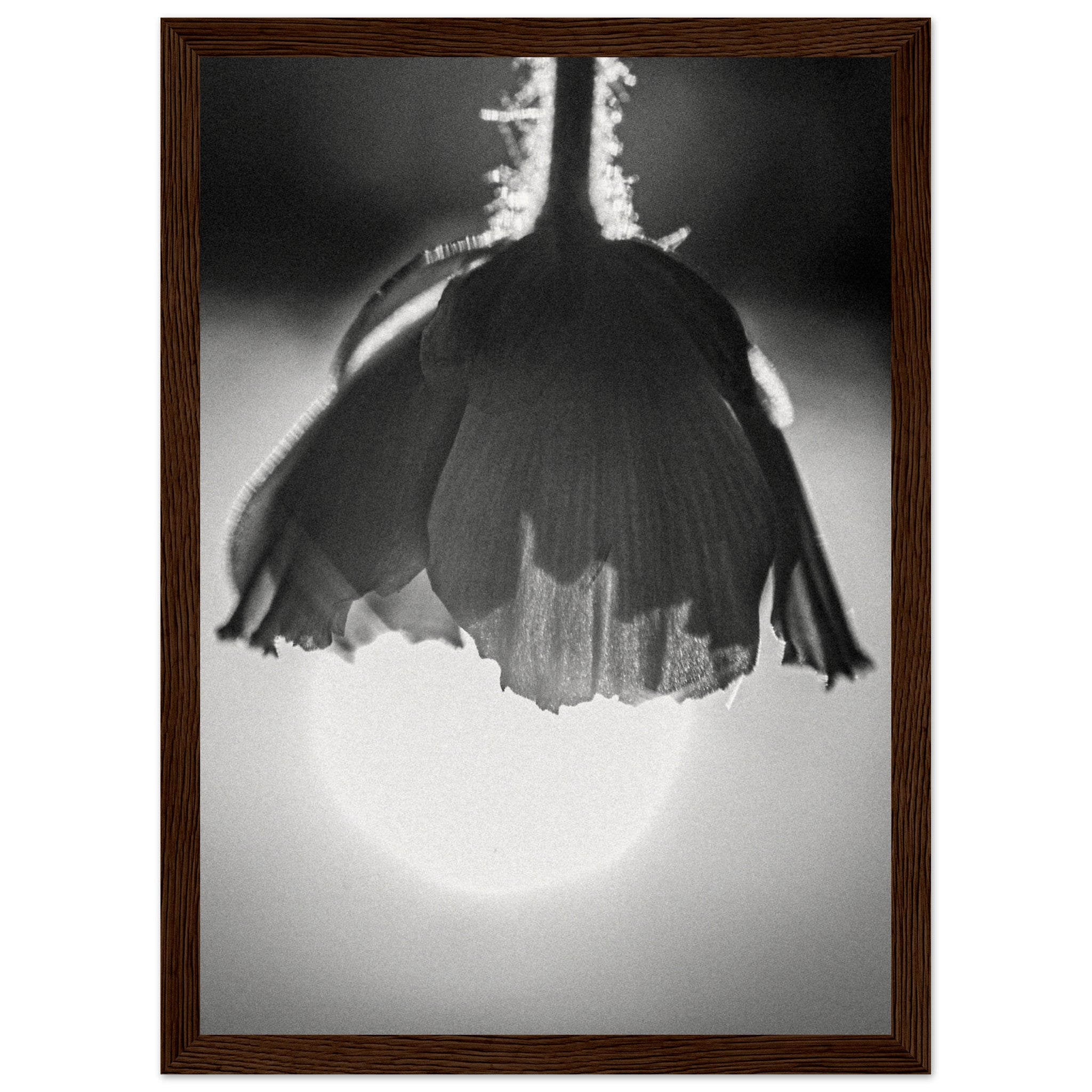 27c7df74-b51a-48eb-aa68-aee42ddd65e6