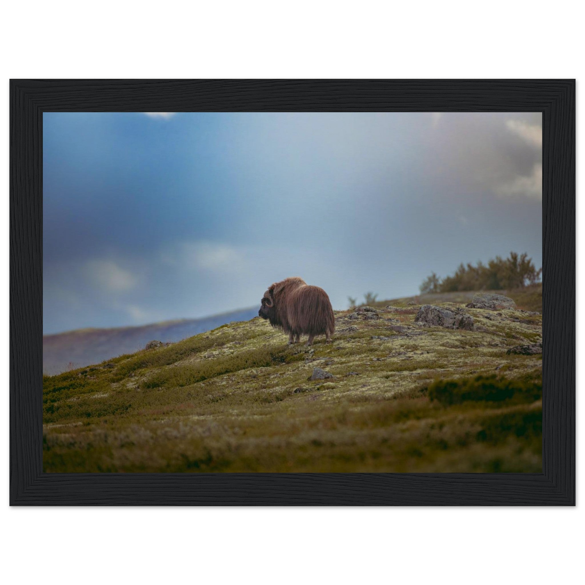 290a14ad-4ee8-407d-95f2-7841971a6996