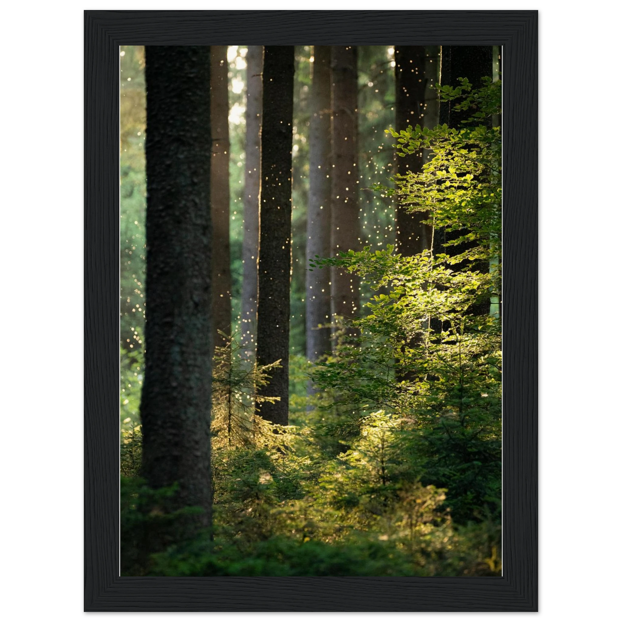 29bd45e2-7b53-434f-a16d-6bc54a082f7a