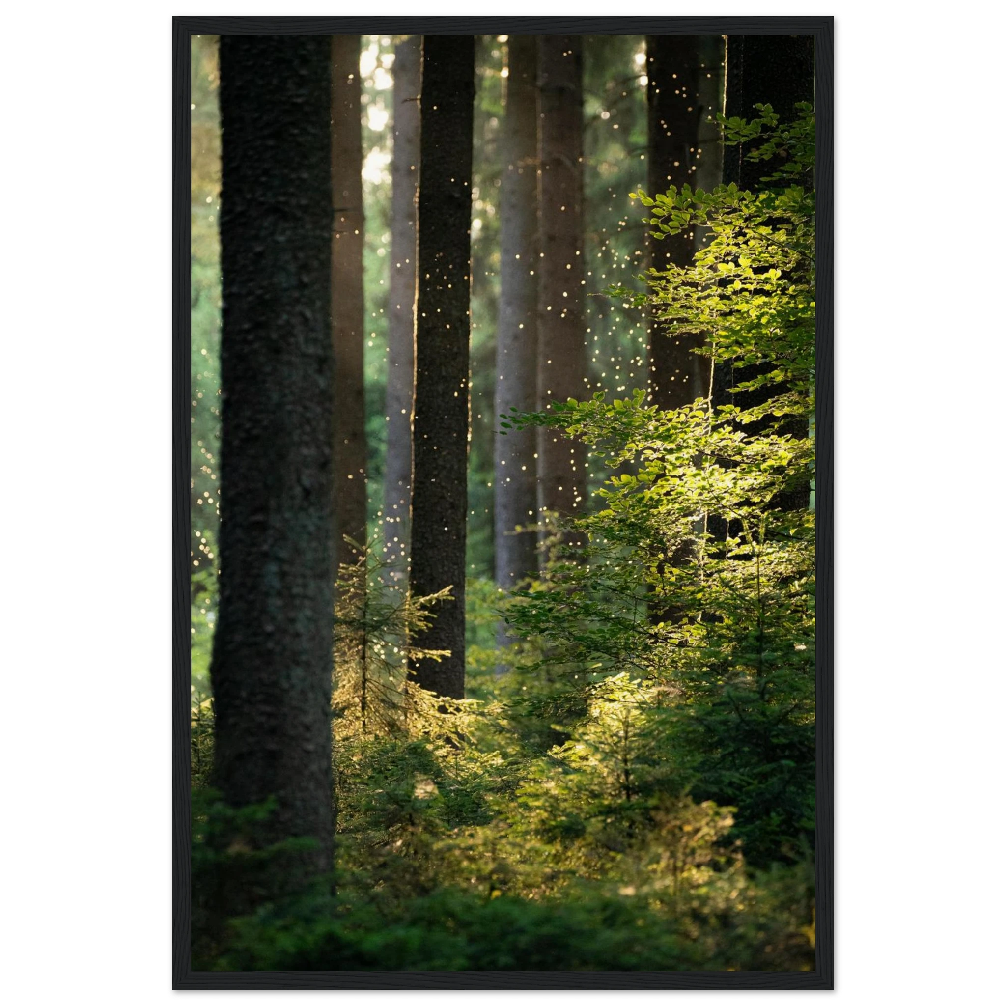 29ed9c94-d881-41d8-8c78-38f49c04f8fa