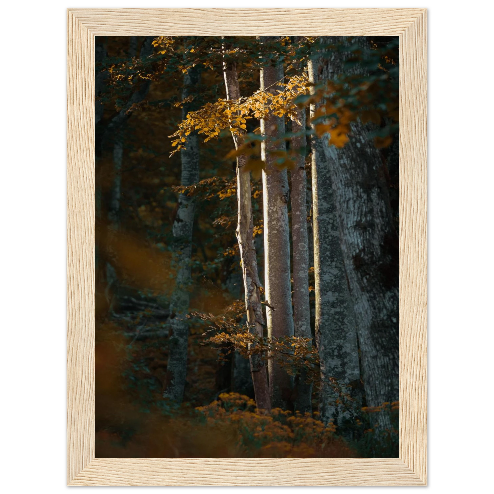 2b19a25b-fd2f-43e2-89d7-f528d9d7abeb