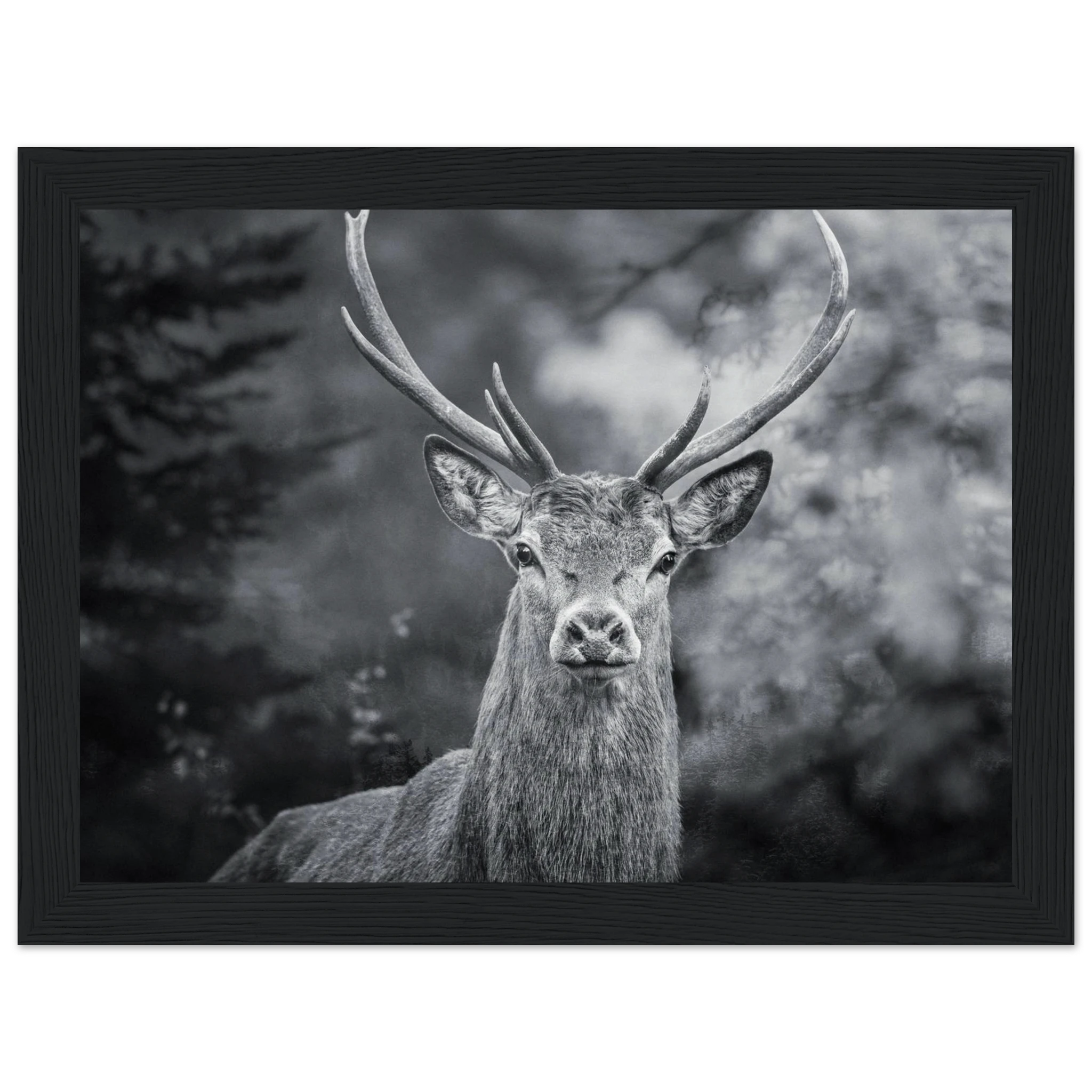 2b3811a6-c132-4b83-b3fd-02388c410059