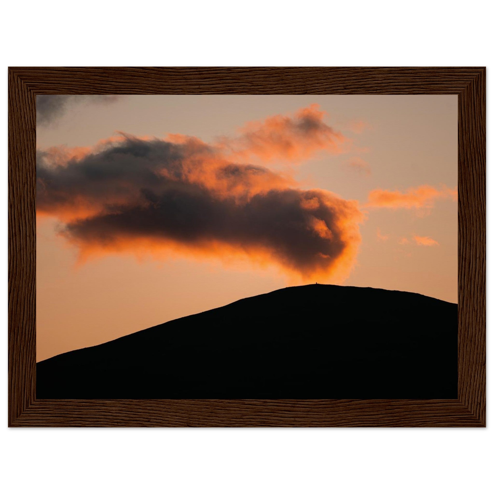 2bcb3e6c-bb12-4039-873d-f5564f525623