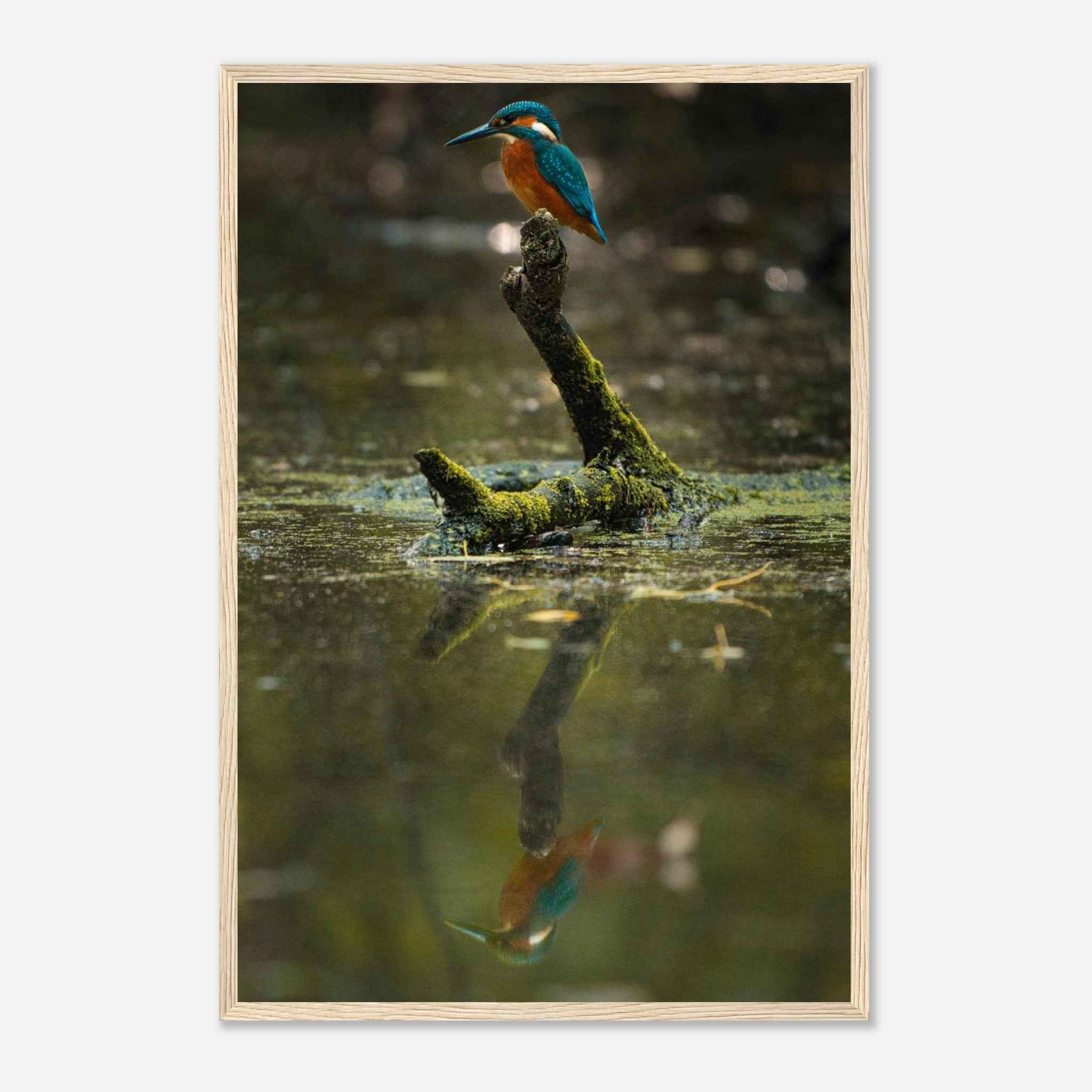 2bd7cdde-3fac-4715-8970-07e057d16971