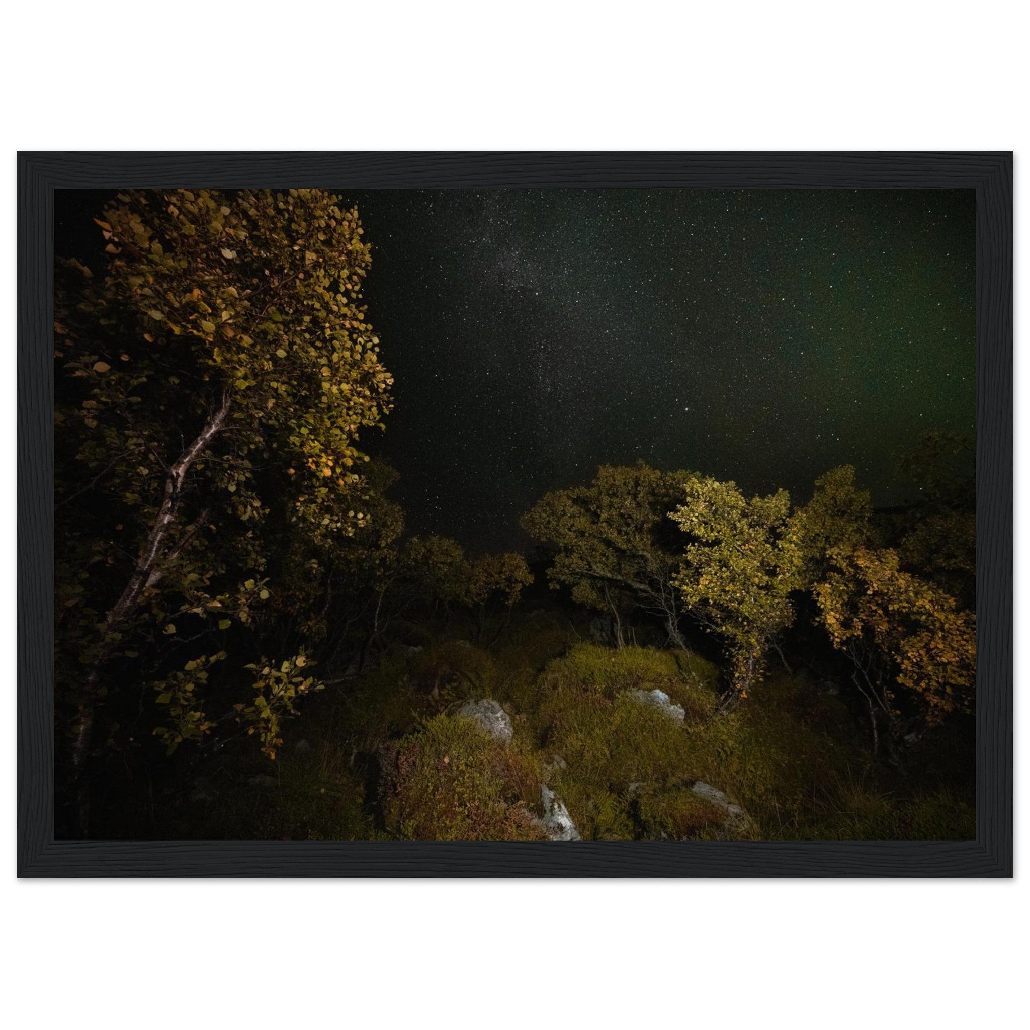 2d62716b-b300-40cb-9944-d80fd6c23460