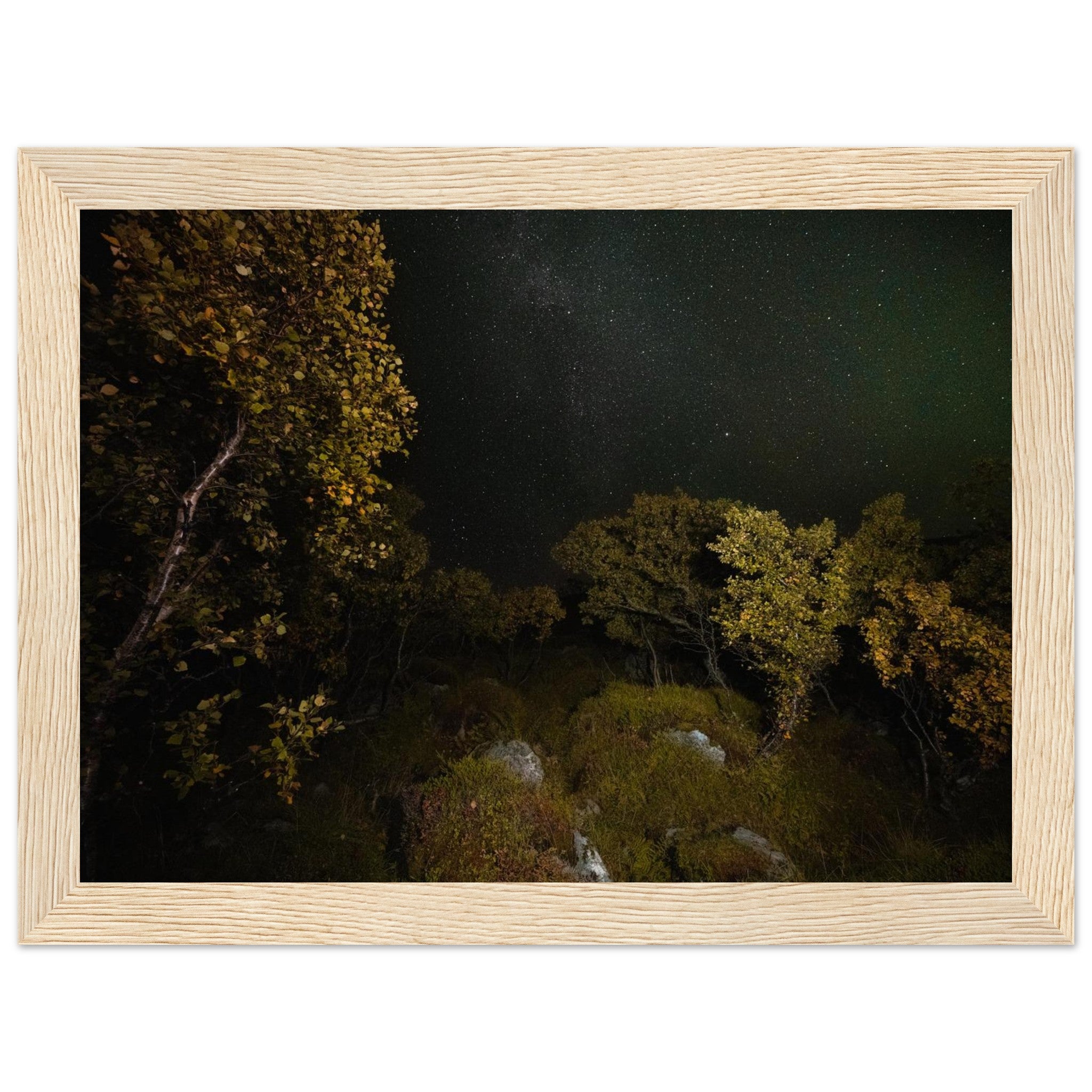 2d764aed-39be-455e-bbae-a6a050c6e112