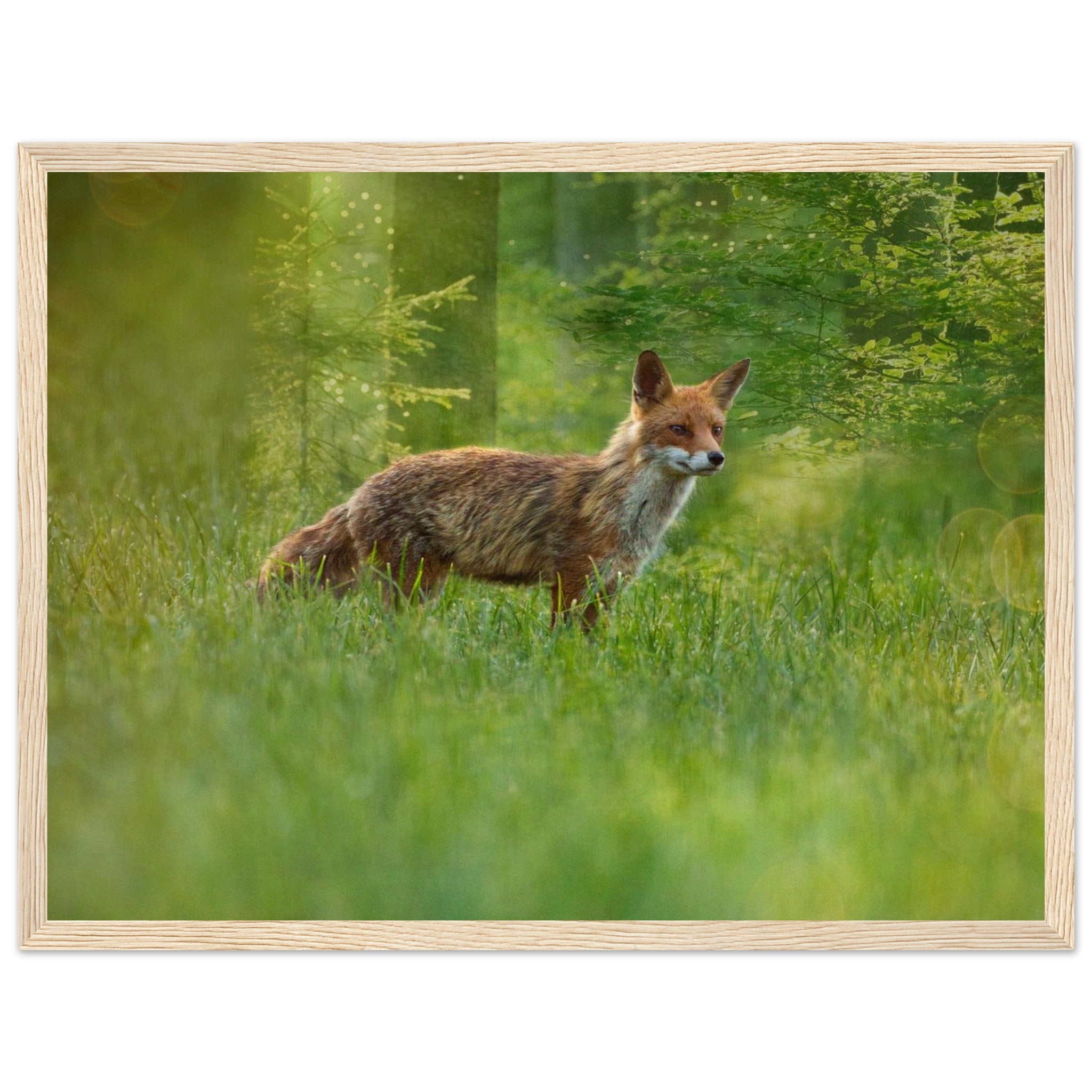 304272ae-e86a-4da0-beff-621bd1b1e363